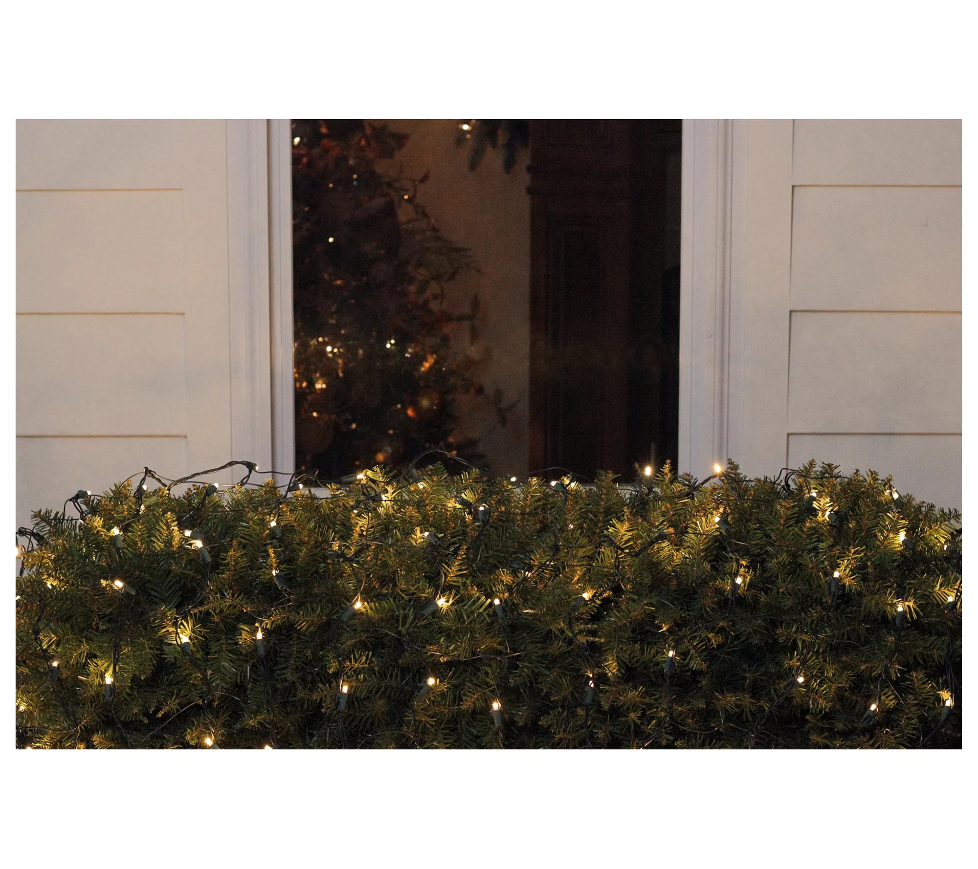 Northlight 4'x6' LED Wide Angle Net Christmas Lights
