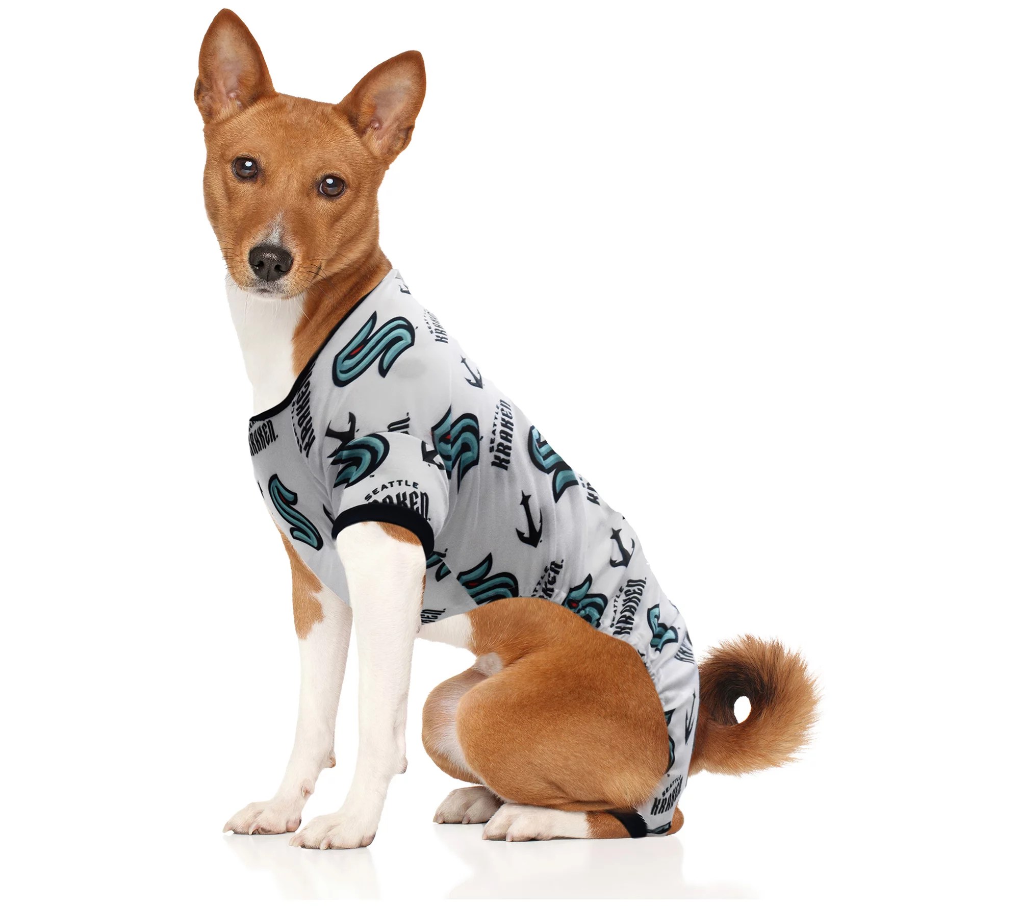 Littlearth NHL Pet Pajamas
