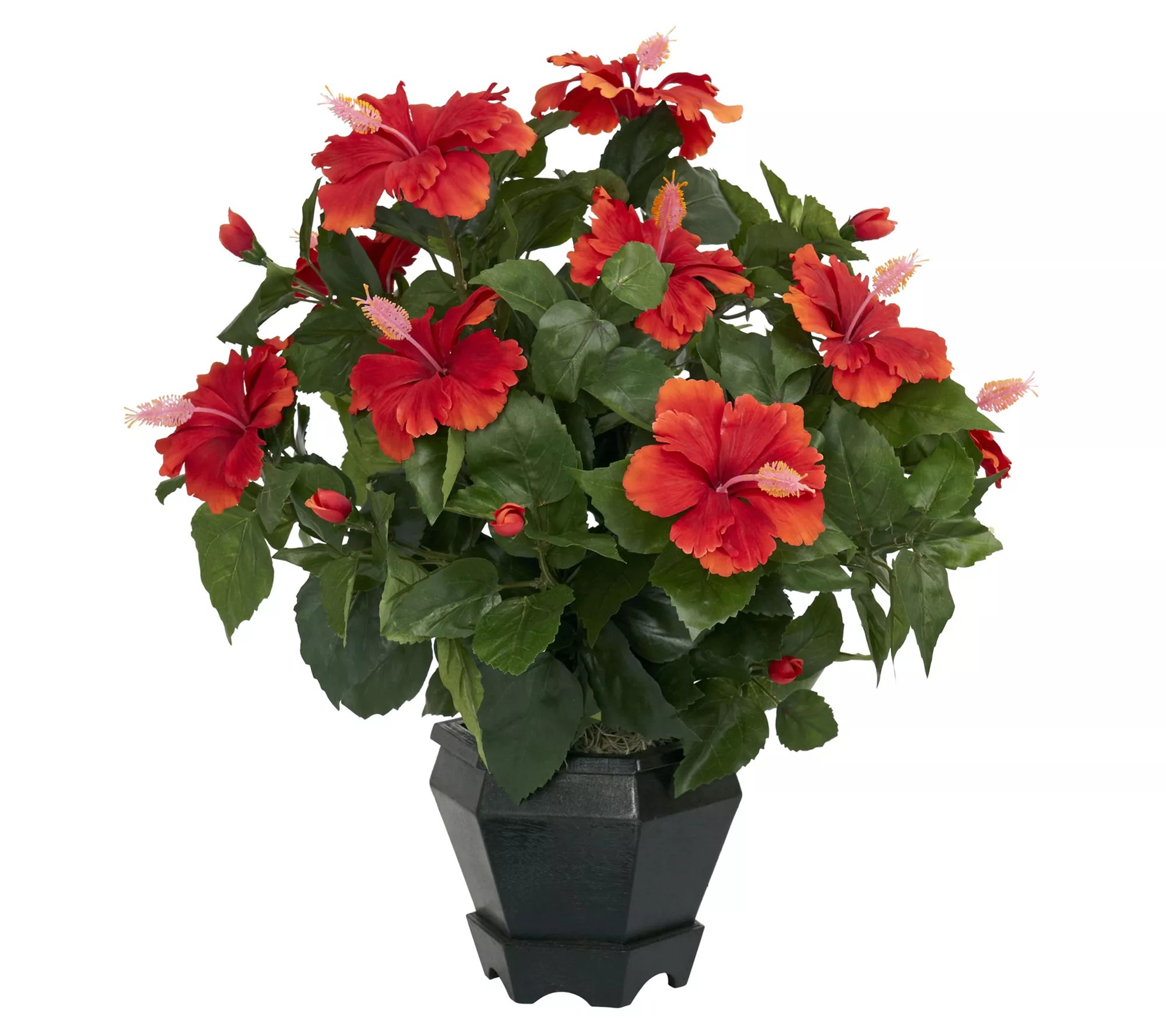 Hibiscus w/Black Hexagon Vase Silk Plant