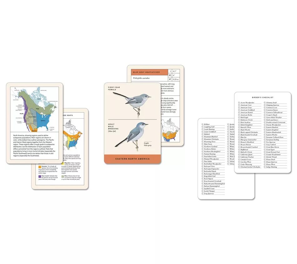 Sibley Backyard Birding Flashcards By David Allen Sibley