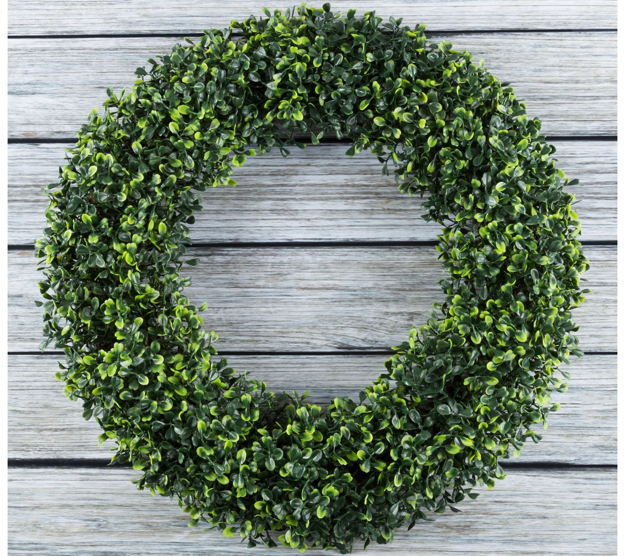 191/2" Boxwood Round Wreath by Pure Garden
