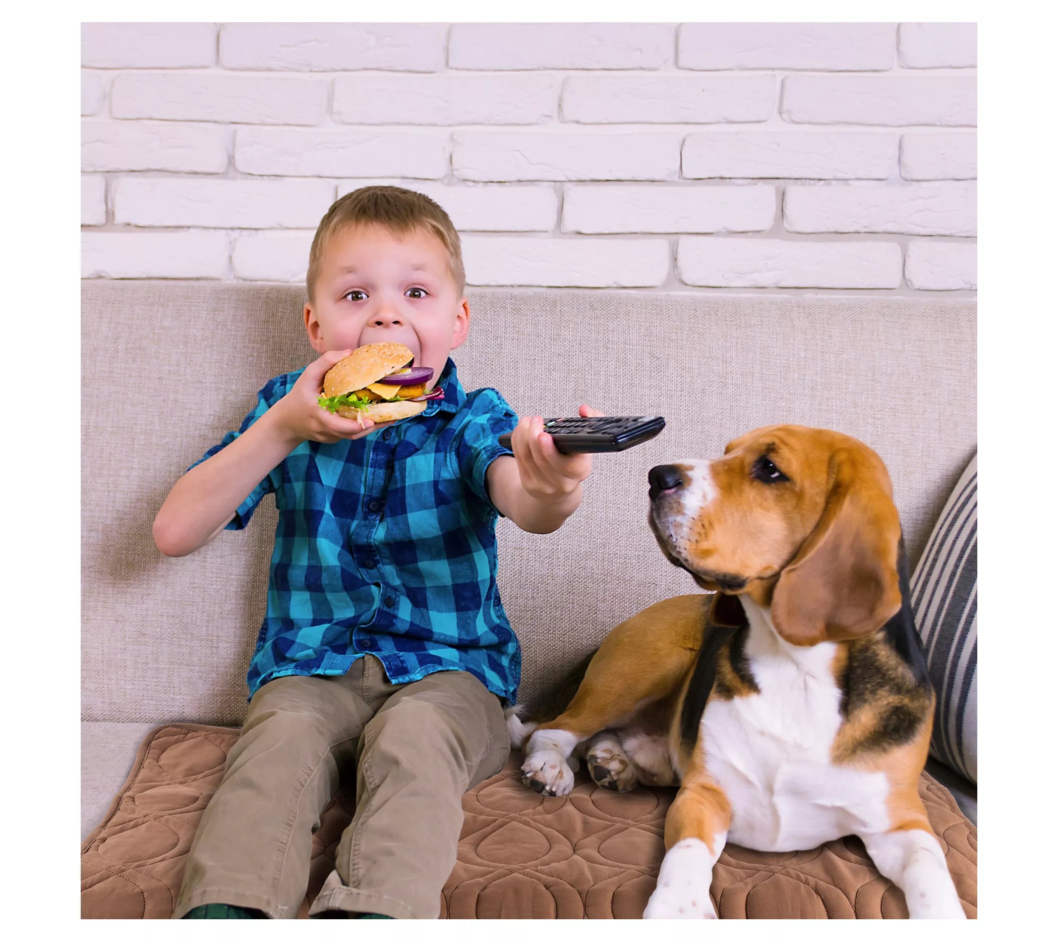 Petmaker Waterproof Pet Mat Partial Couch Covers