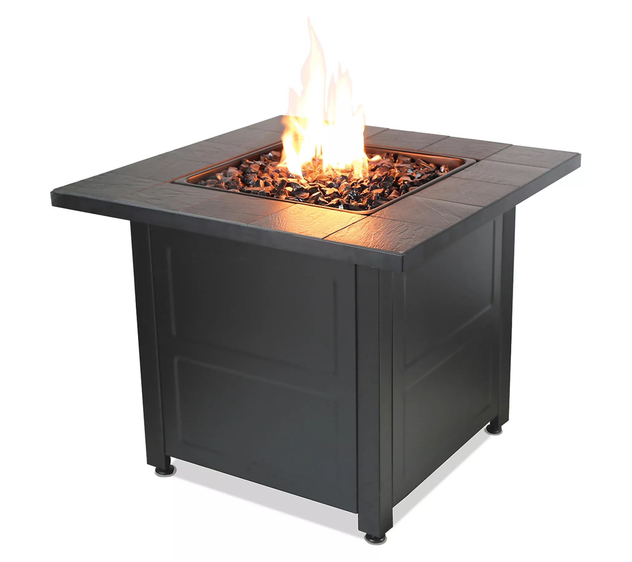 Endless Summer 30" LP Gas Fire Pit by Mr. BarB Q