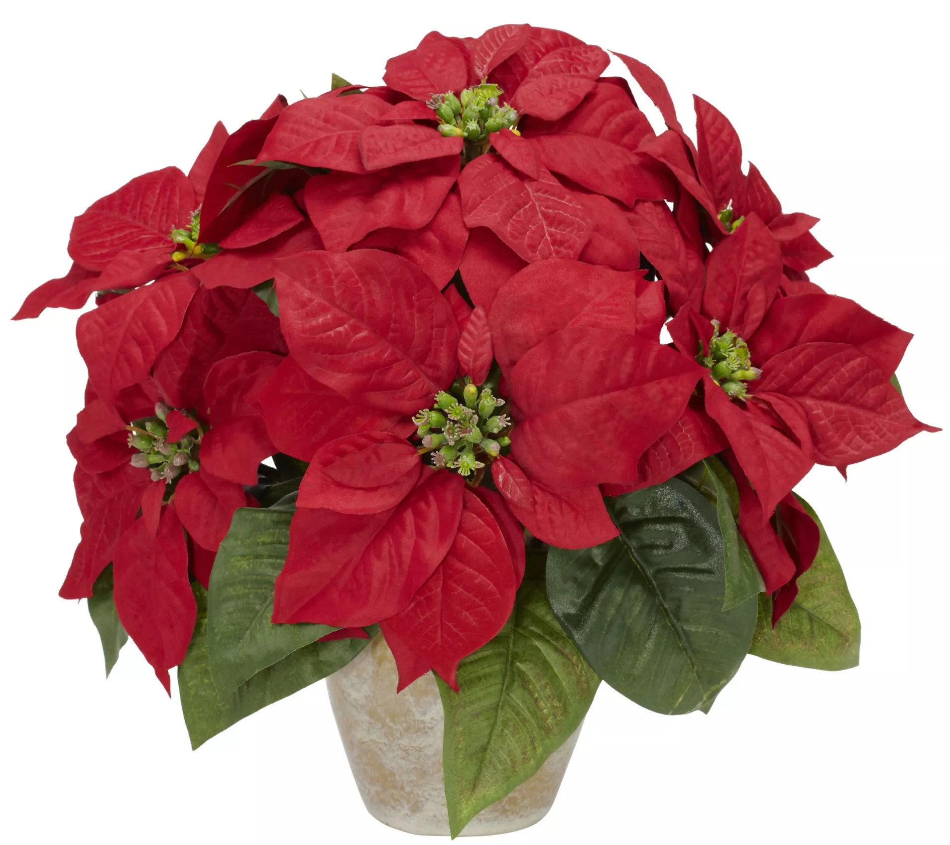 Poinsettia Ceramic Vase Flower Arrangement by Nearly Natural