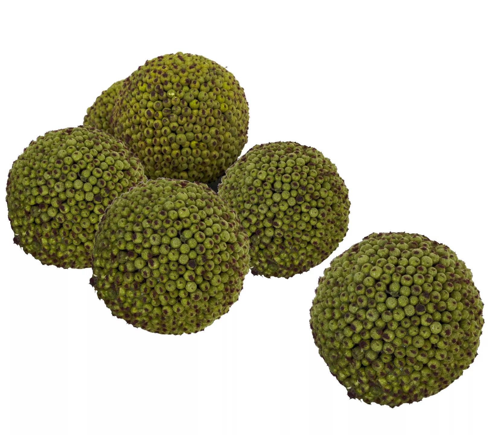 4" Berry Ball Set of 6 by Nearly Natural