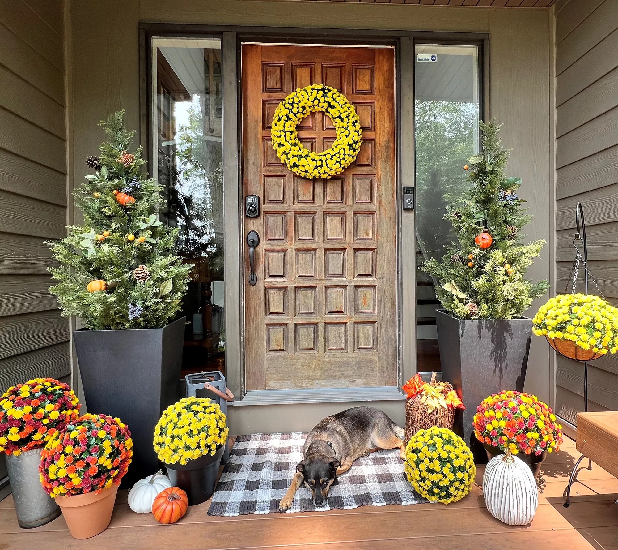 Wicker Park 14" Harvest Faux Mum Hanging Basket