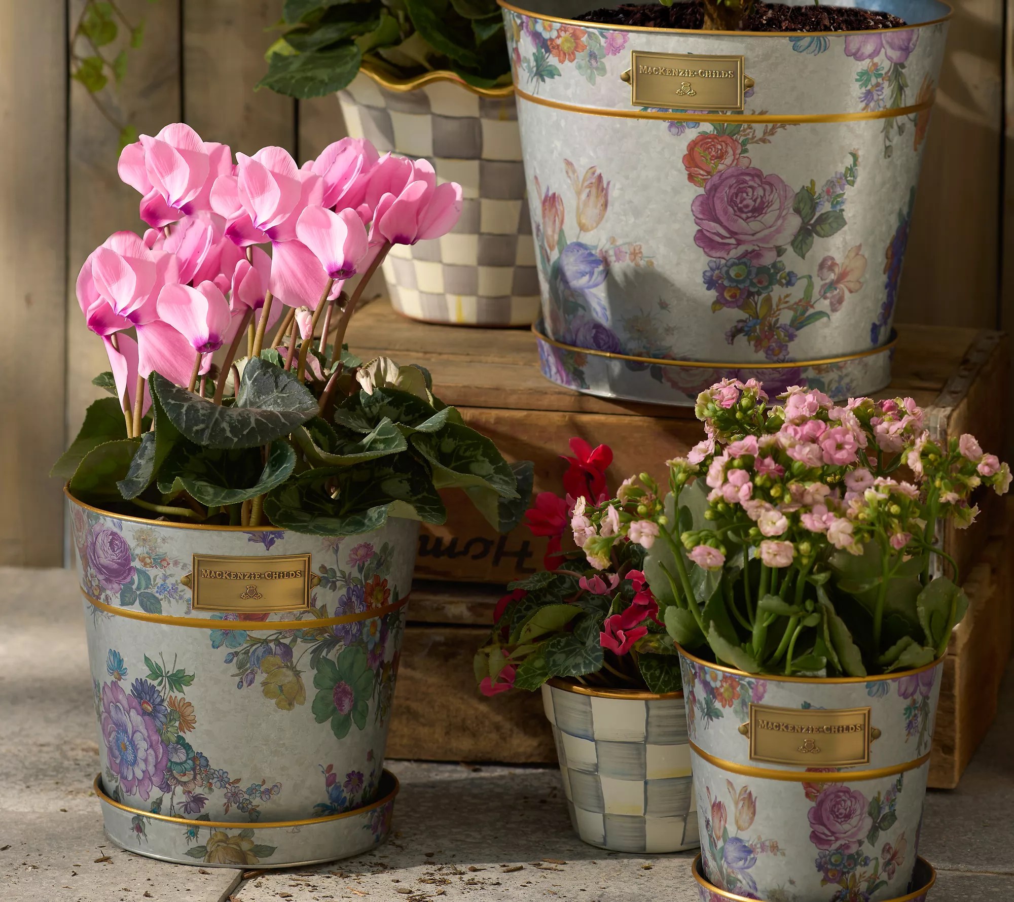 MacKenzieChilds Flower Market Pots & Saucers, Set of 3