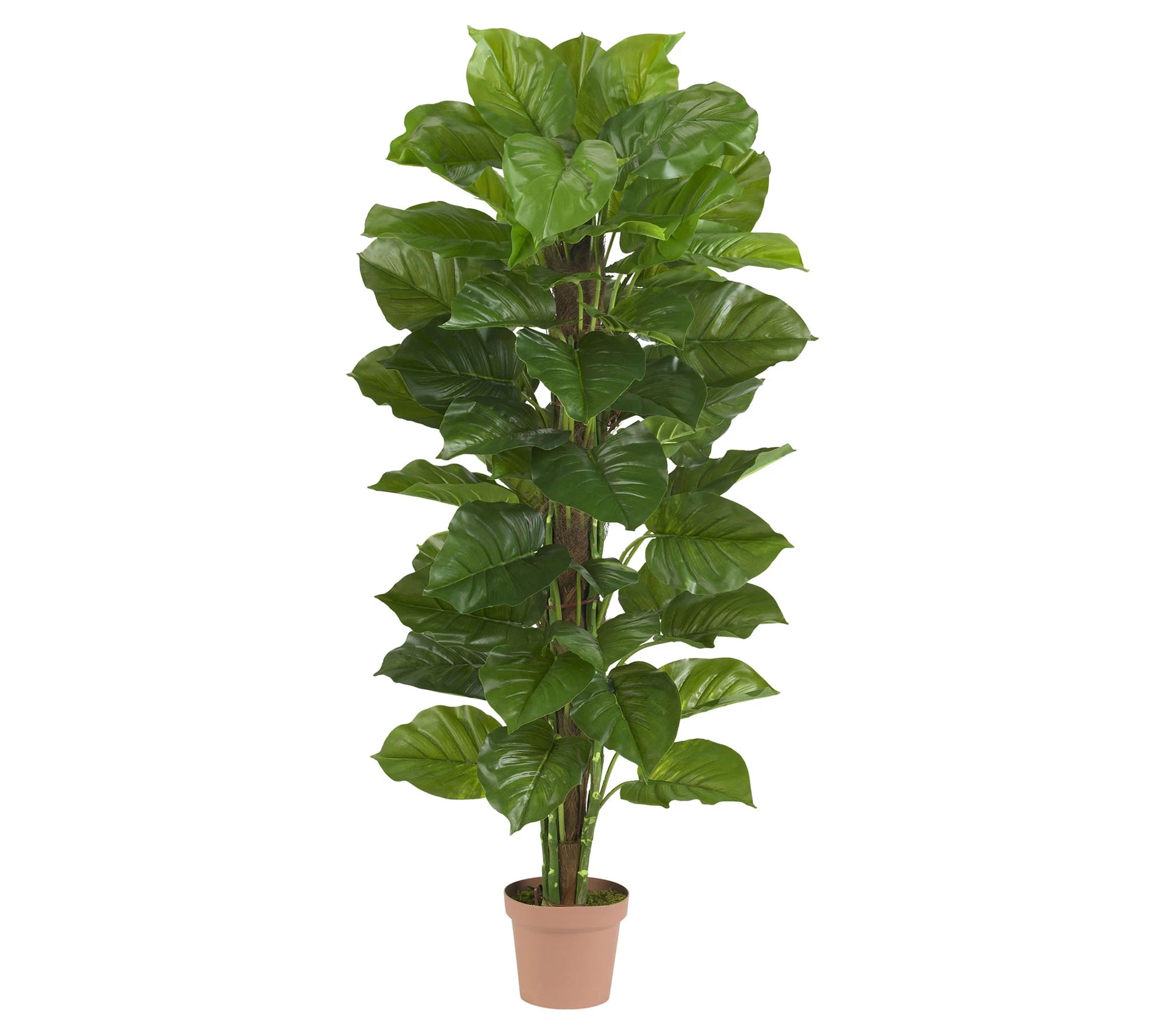 63" LargeLeaf Philodendron Silk Plant by Nearly Natural