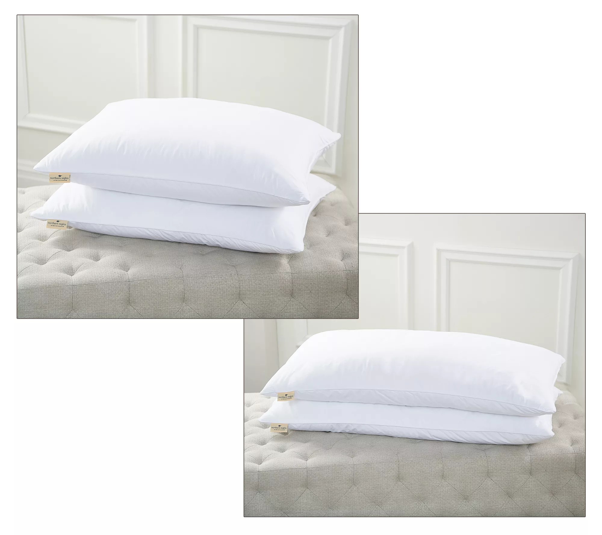 Northern Nights 2Pack Cotton Down Around Pillows Std/QN or King