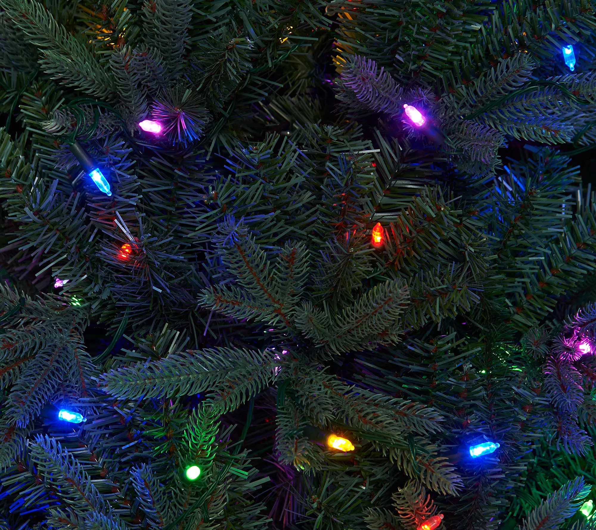 ED On Air Santa's Best 6.5' Blue Royal Spruce Tree by Ellen DeGeneres