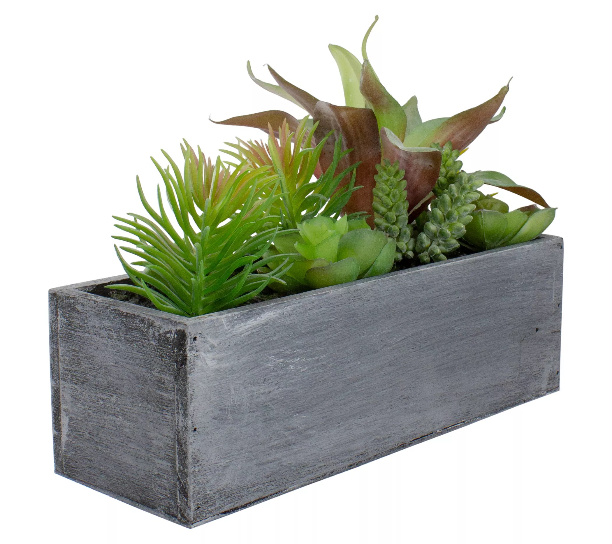Northlight 12" Artificial Succulent Plants inPlanter
