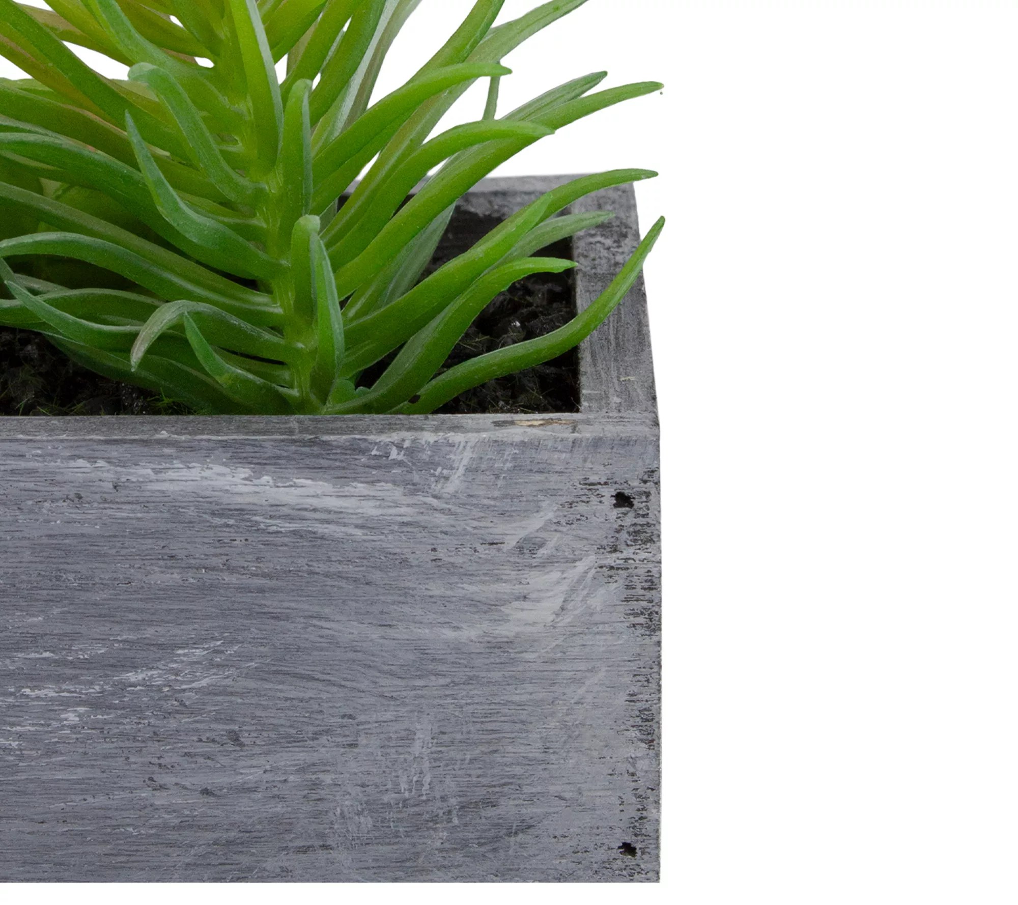 Northlight 12" Artificial Succulent Plants inPlanter