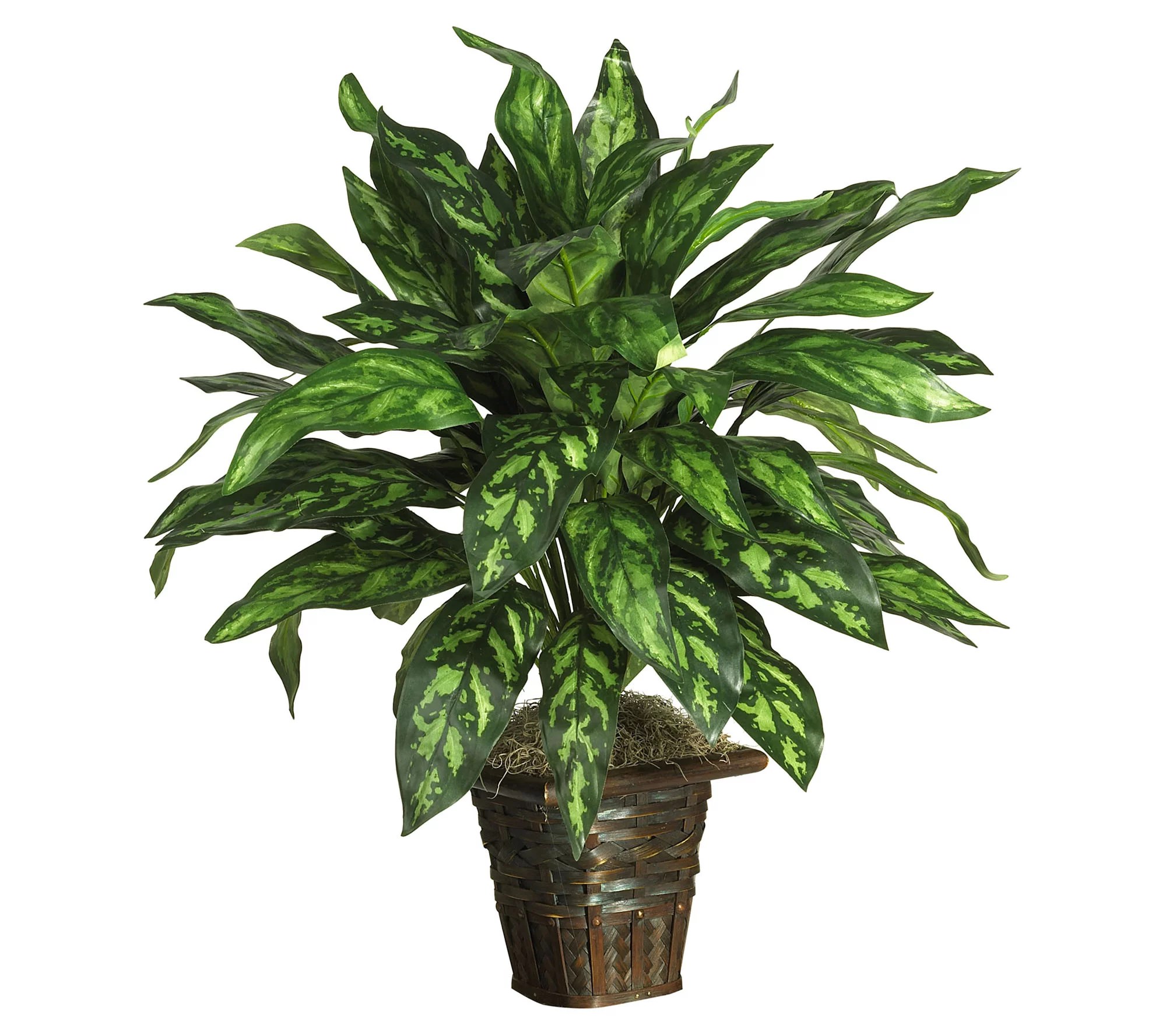 Silver King with Basket Silk Plant by Nearly Natural