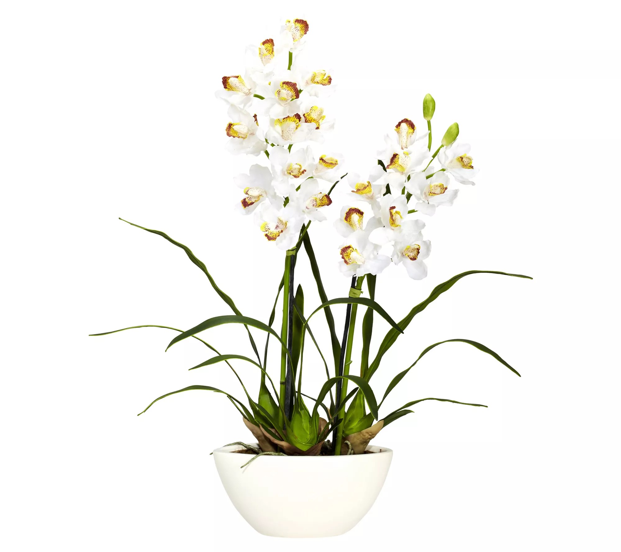 Cymbidium Vase Silk Flower Arrangement by Nearly Natural