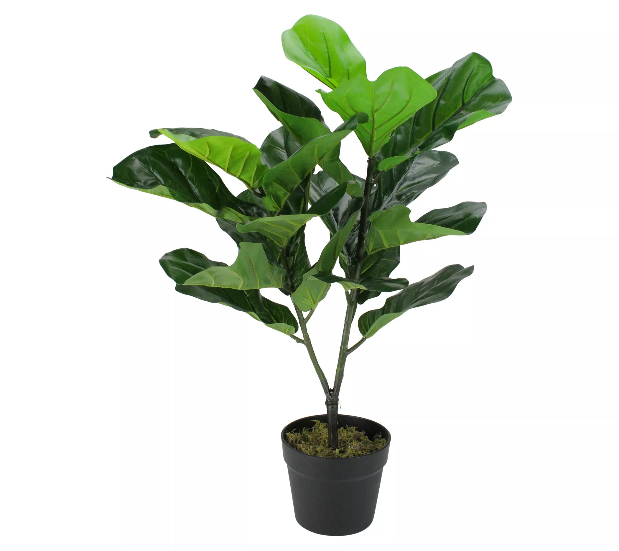 Northlight 29" Artificial Fiddle Leaf Fig Potted Plant