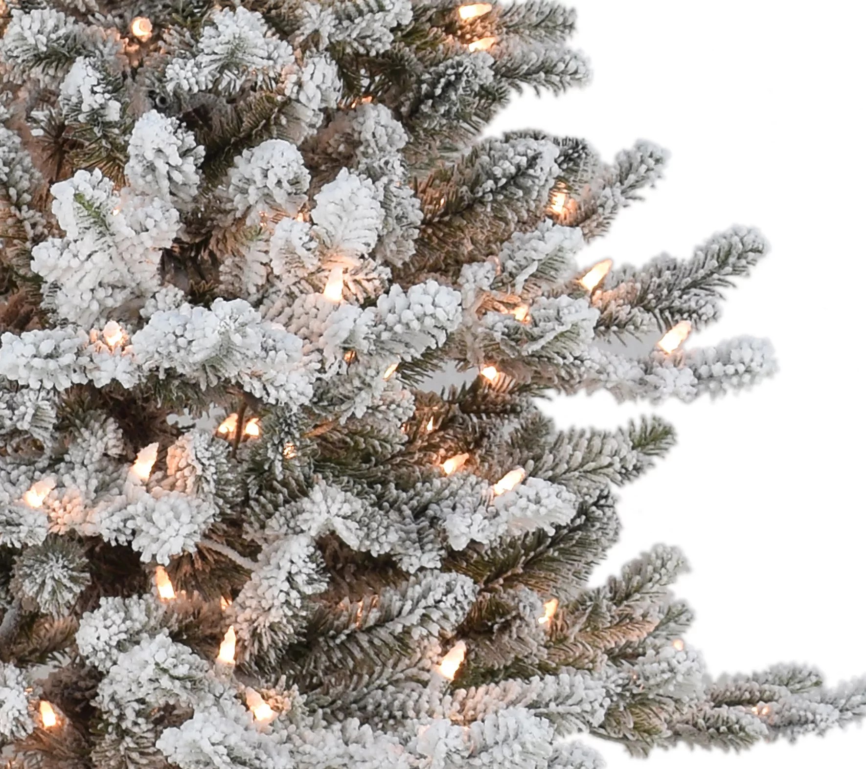 Puleo 6.5' Prelit Flocked Royal Majestic Douglas Fir