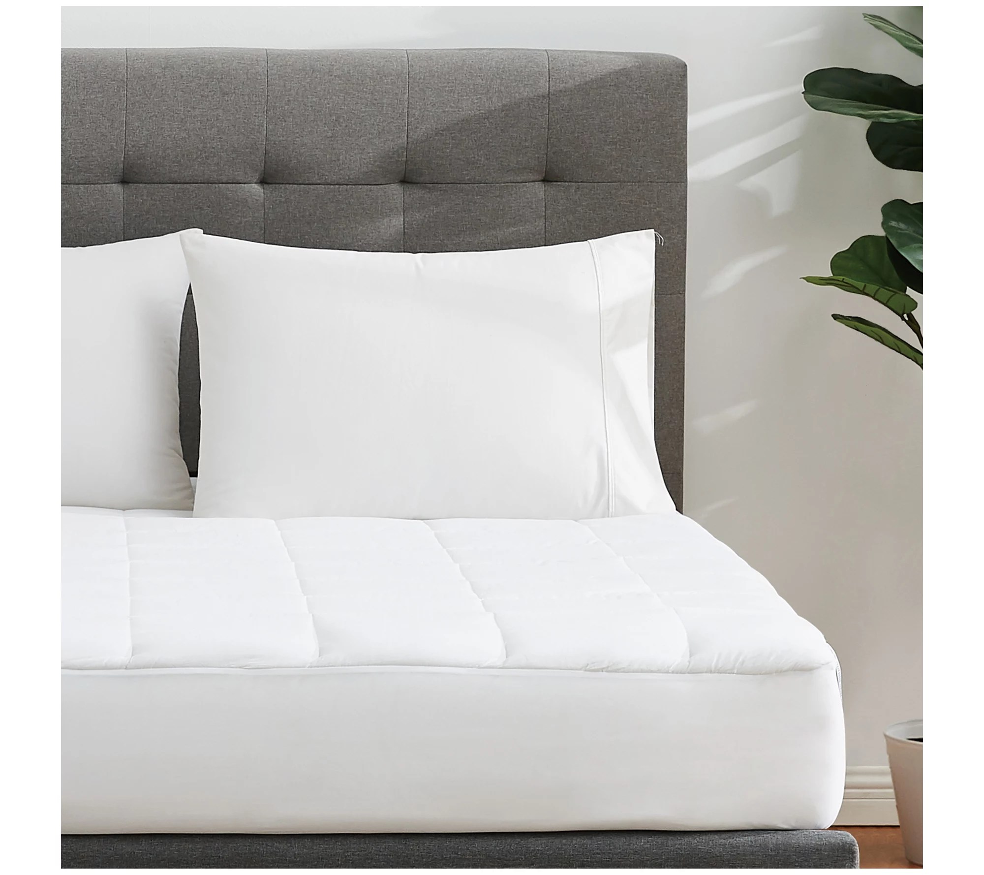 Cannon Classic Cotton King Mattress Pad