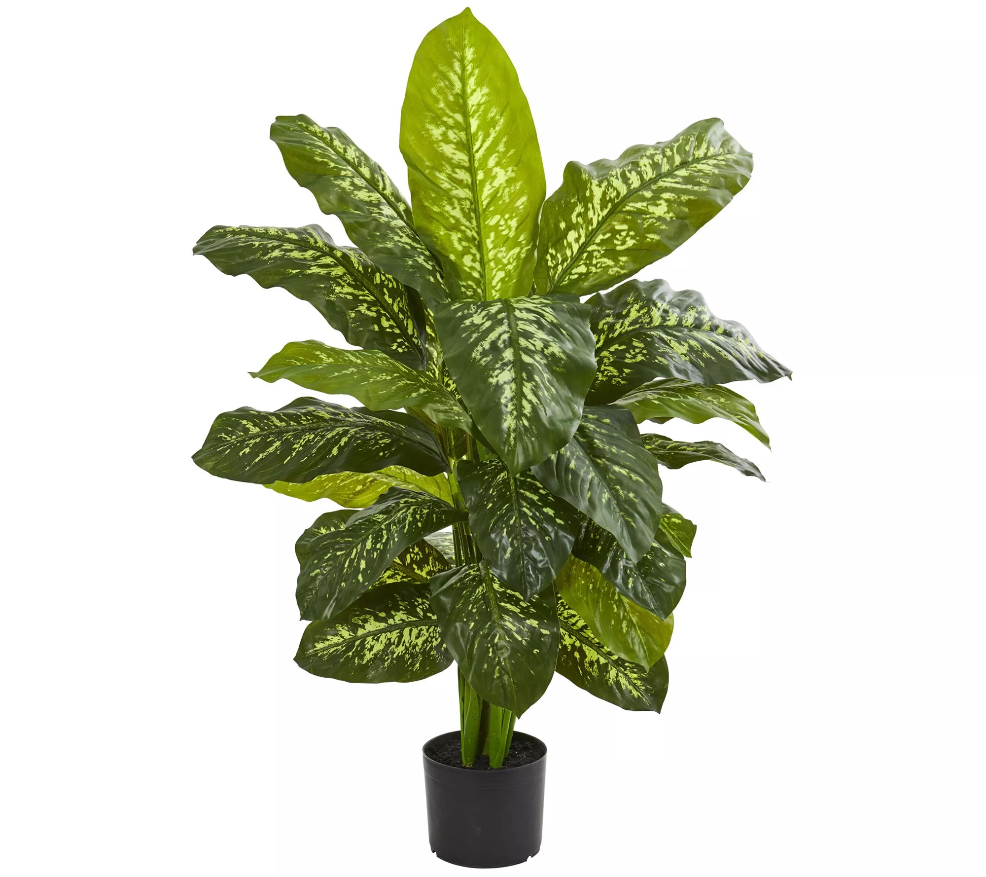 Nearly Natural 42" Dieffenbachia Artificial Plant