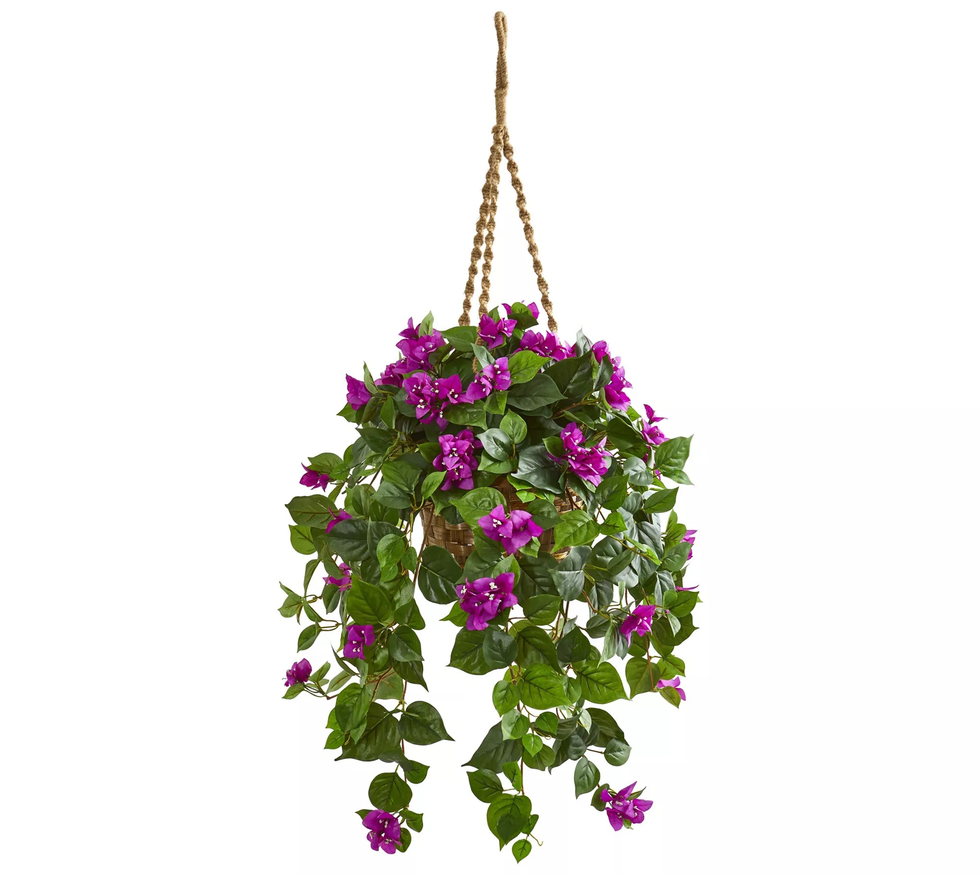 Bougainvillea Plant in Hanging Basket by NearlyNatural