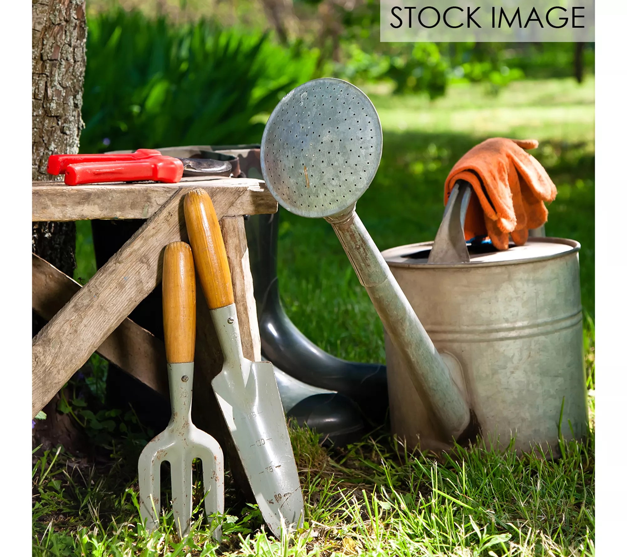 Van Zyverden Hanging Basket Begonias Golden Balcony 1 Bulb
