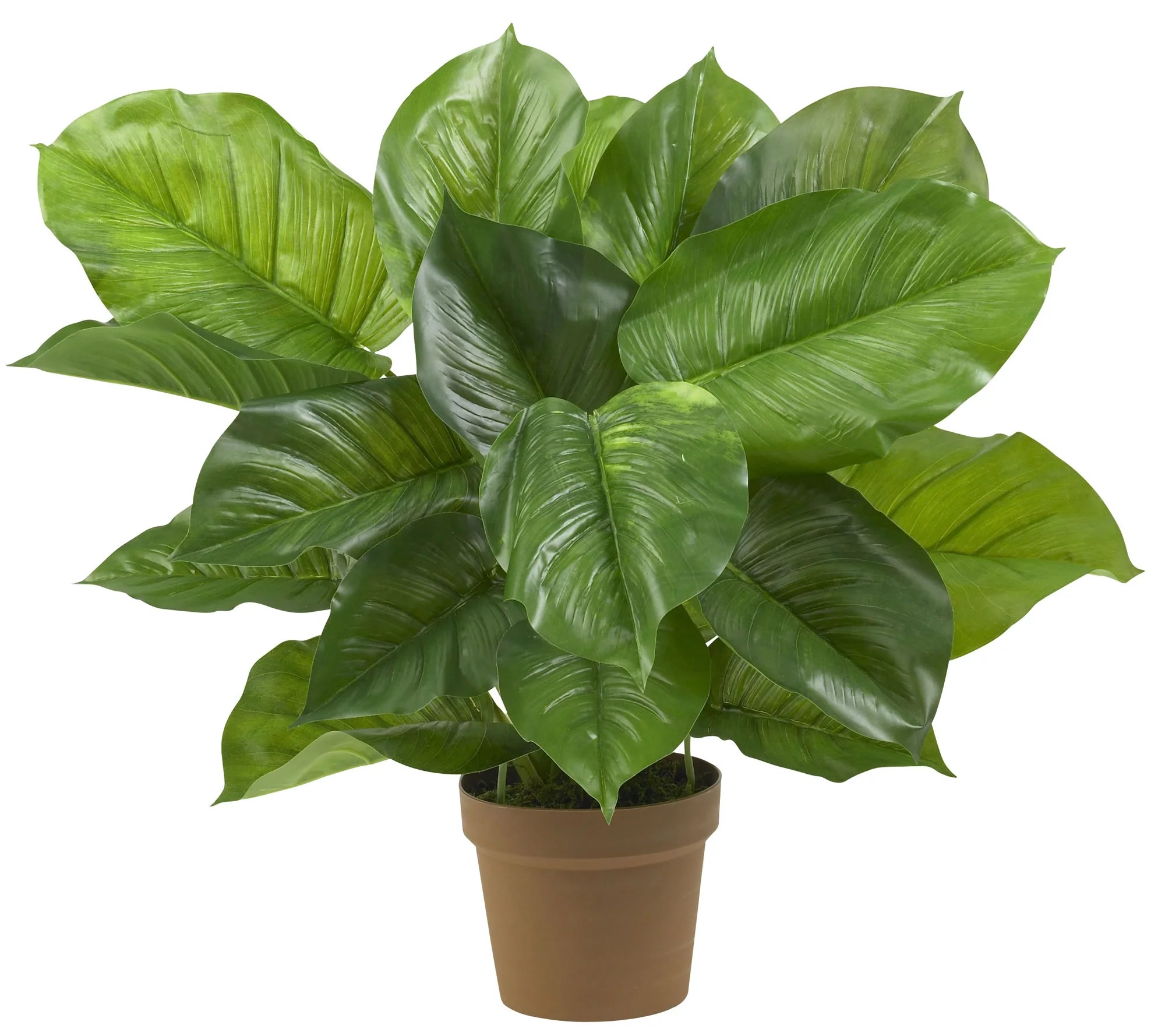 27" Large Leaf Philodendron Silk Plant by Nearly Natural