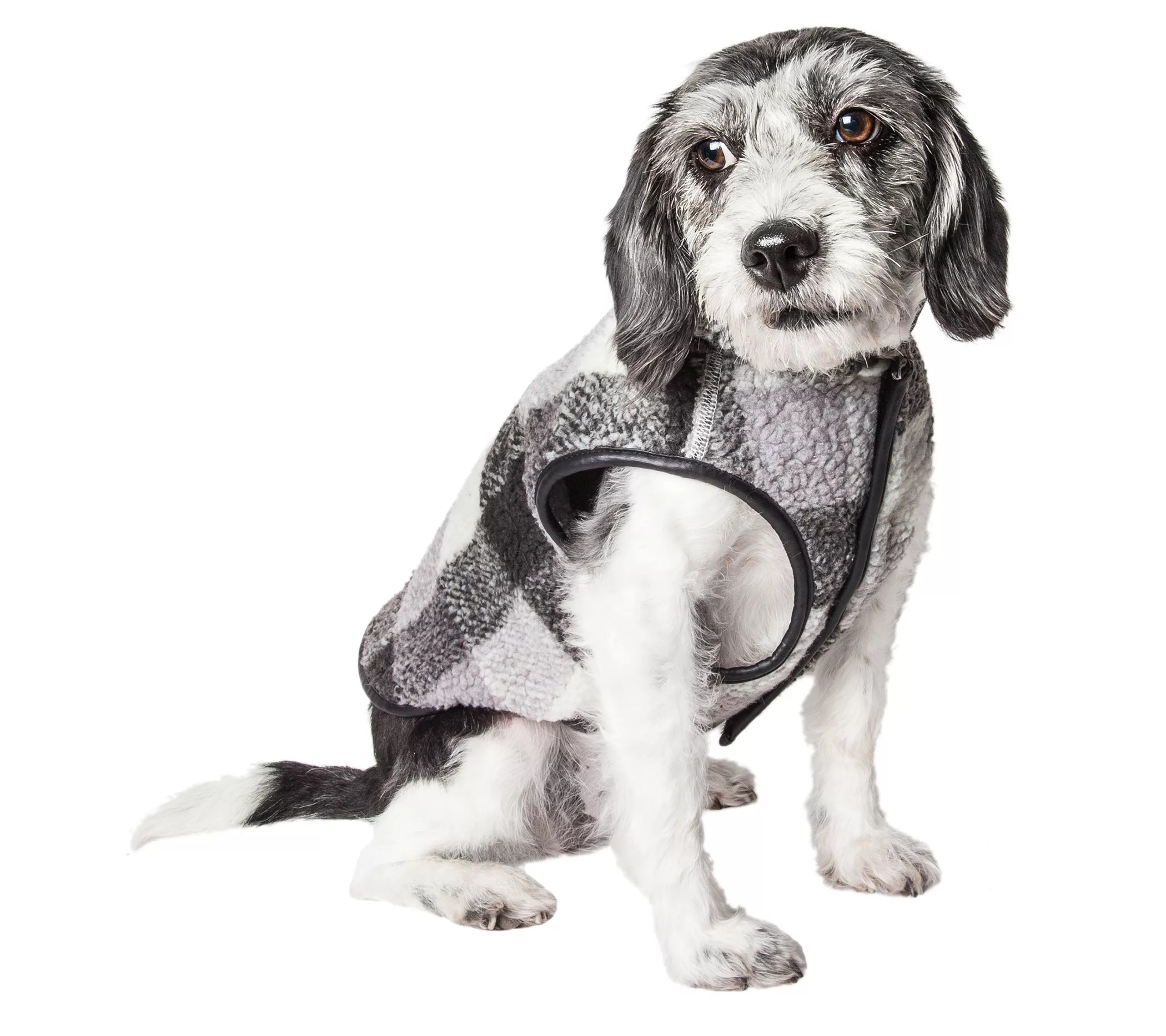 Pet Life 'Black Boxer' Classical Plaided Insulated Dog Coat