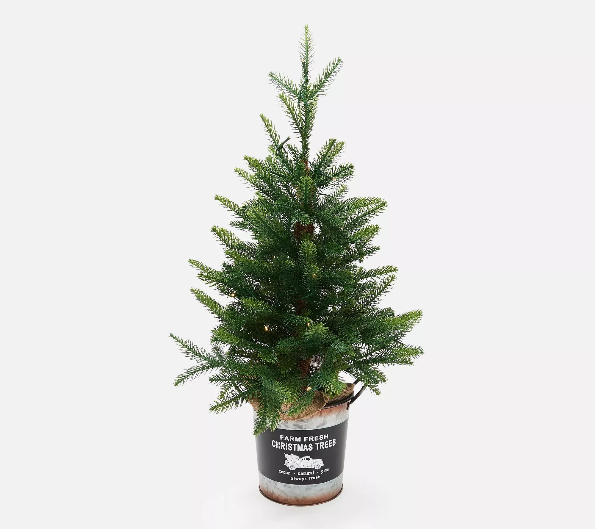 Plow & Hearth 30" Lit White Norway Spruce with Burlap and Pail