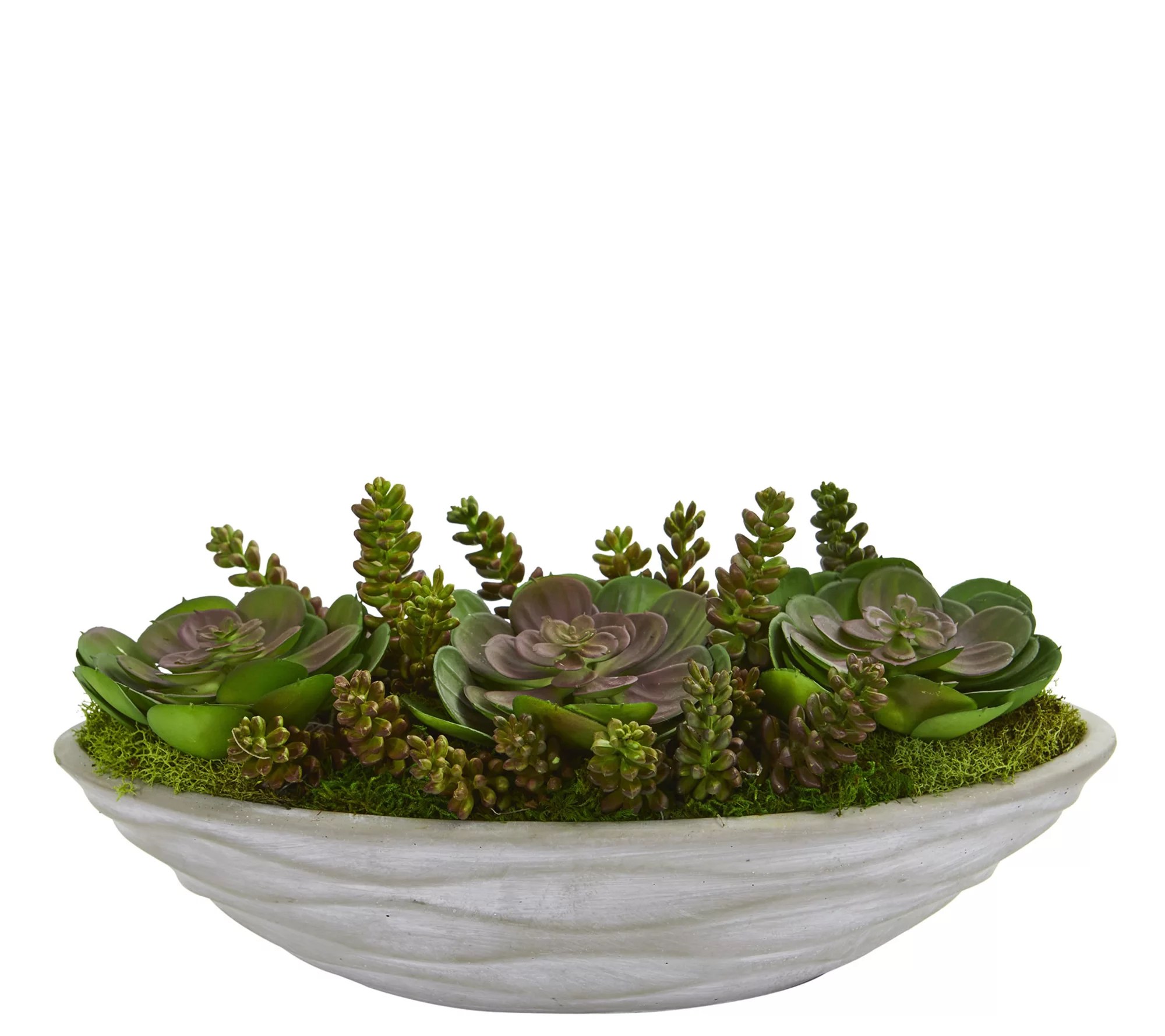 Succulent Garden Artificial Plant by Nearly Natural