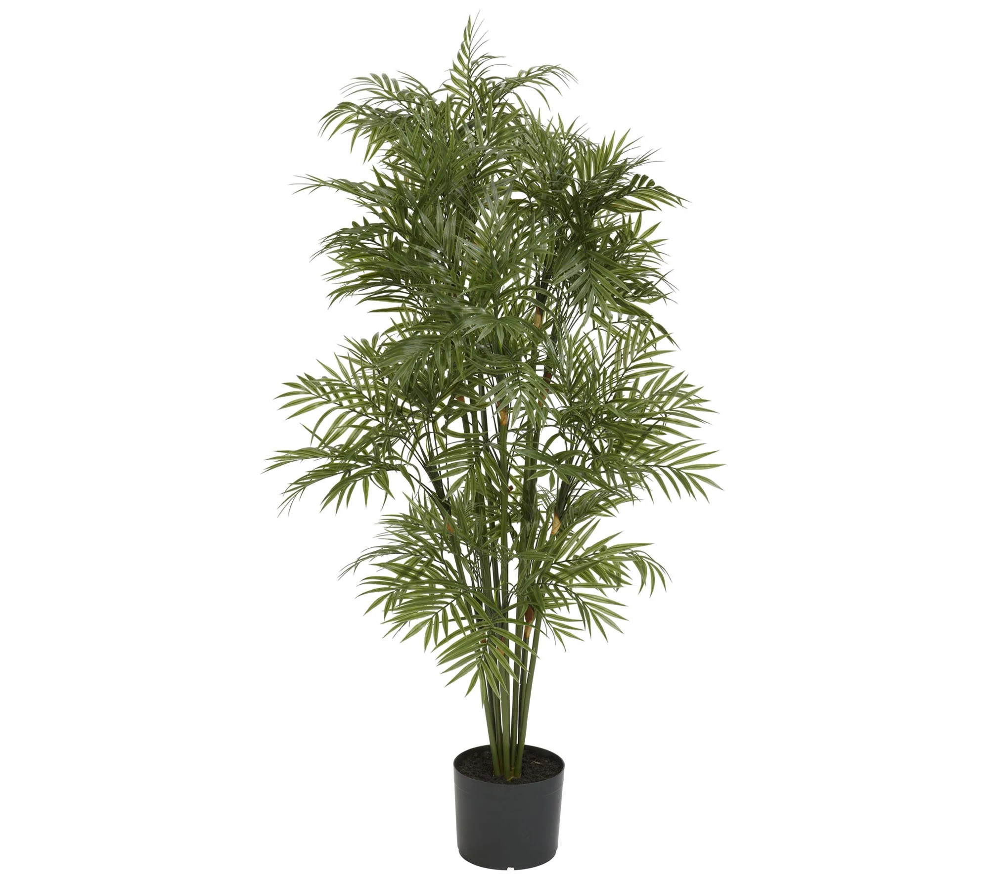4' Plastic Parlor Palm Tree by Nearly Natural