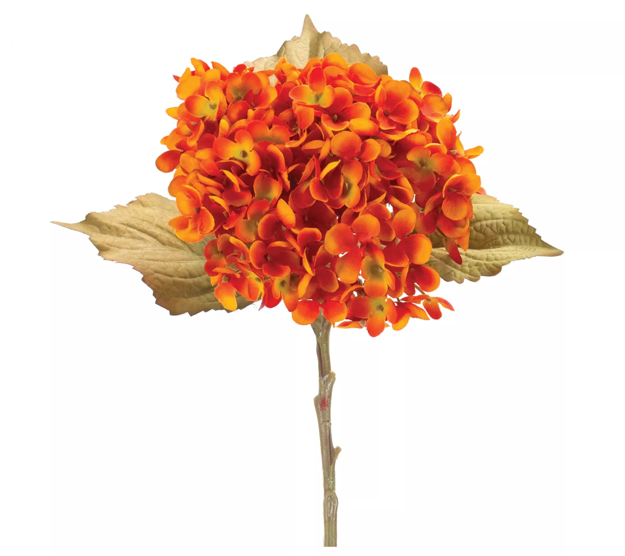 Melrose Fall Hydrangea Flower Stems (Set of 6)
