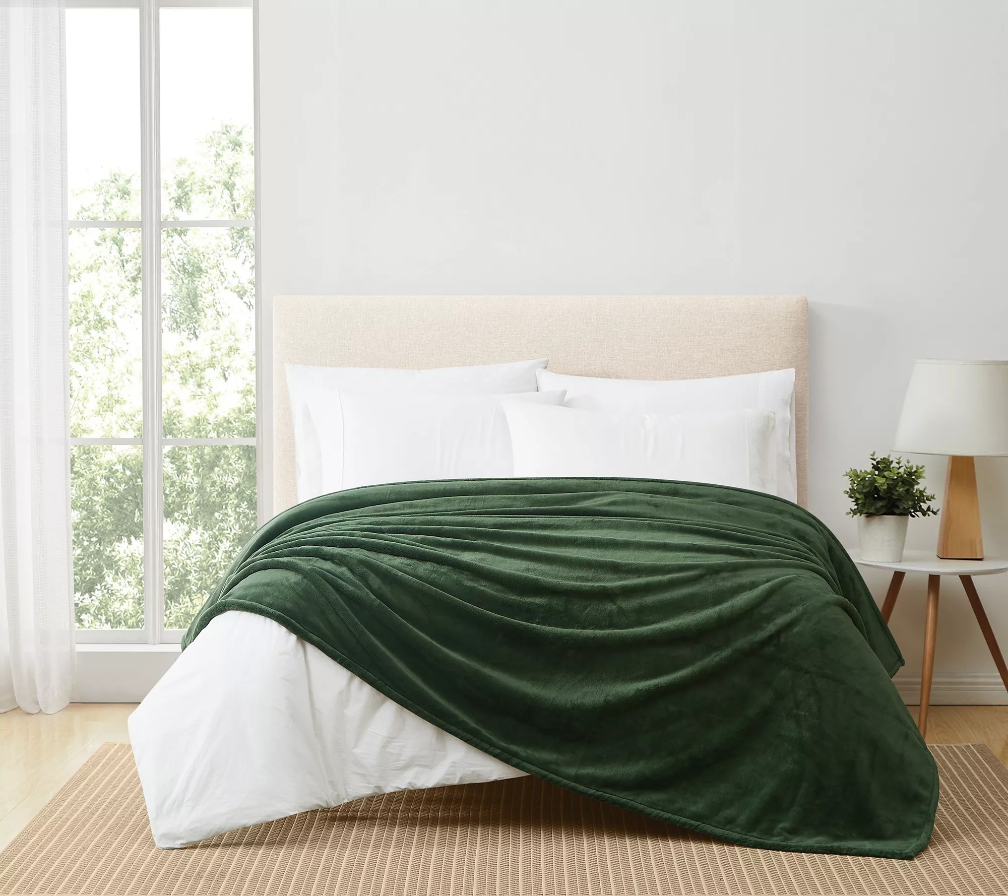 Royal Velvet Lavish Plush Solid Full/Queen Blanket