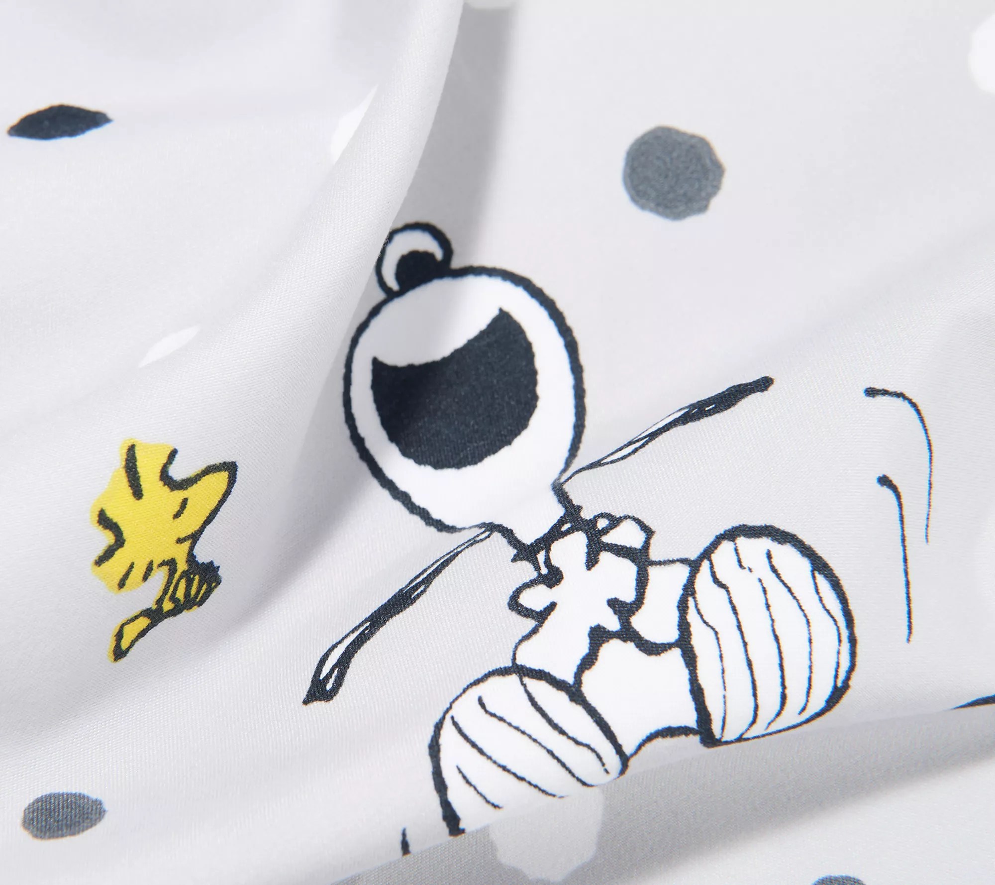 Berkshire Blanket Peanuts Gang Brushed Sheet Set King