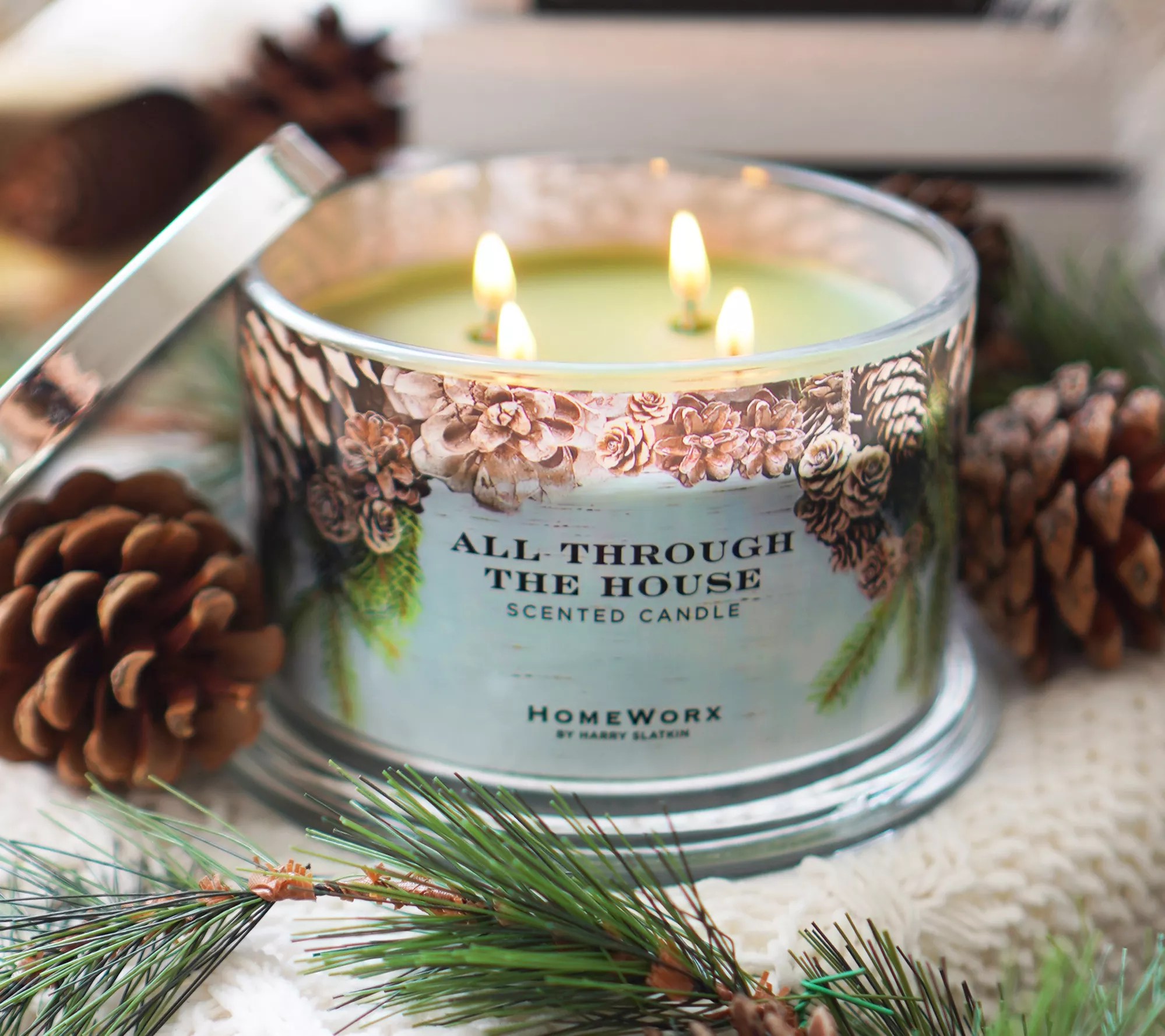 HomeWorx by Harry Slatkin Set of Two All Through the House