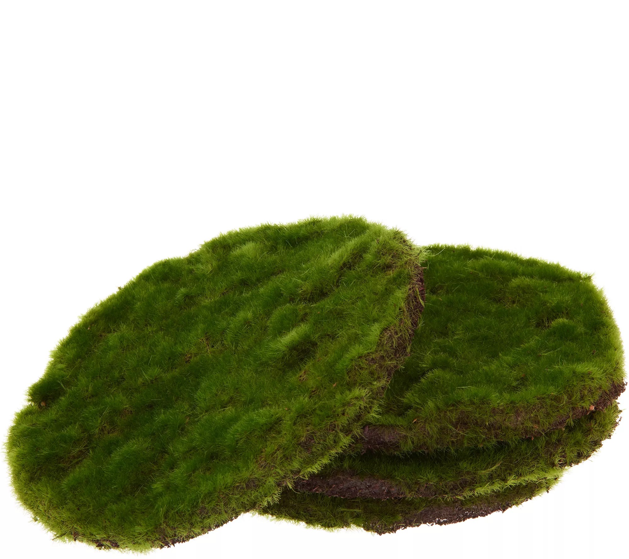 Set of (4) 8" Round Moss Mats by Valerie