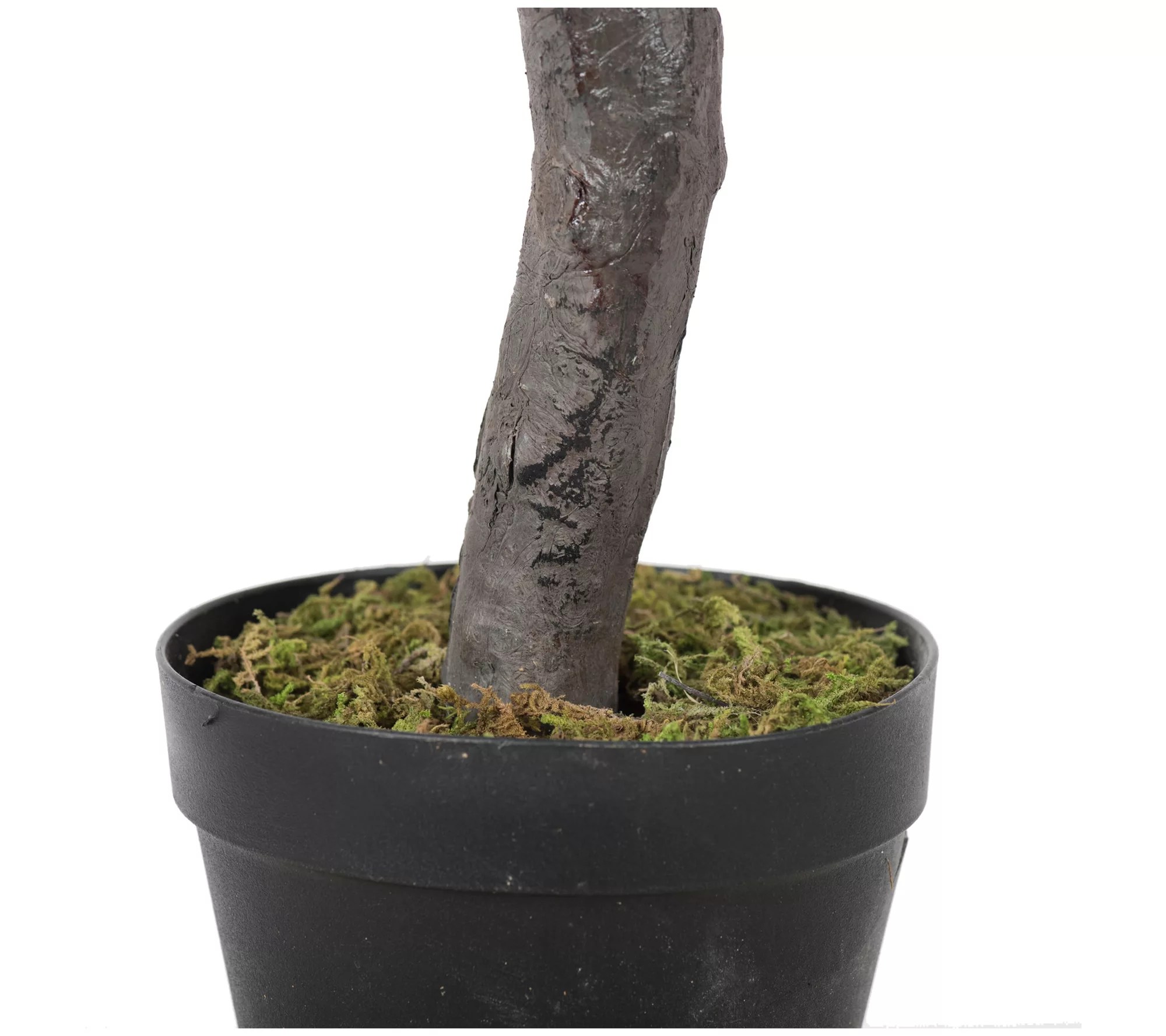 Vickerman 50" Artificial Olive Tree