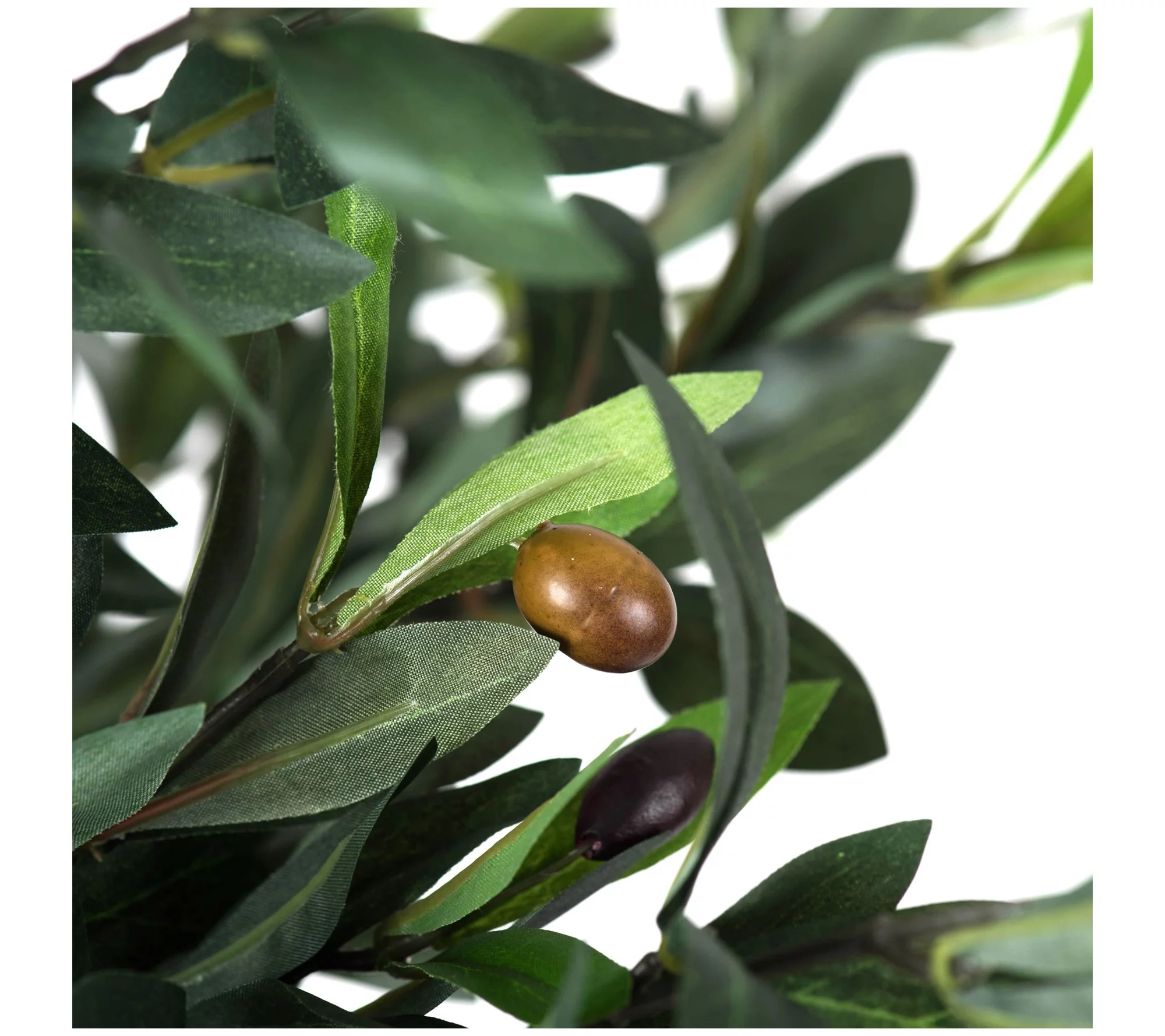 Vickerman 50" Artificial Olive Tree