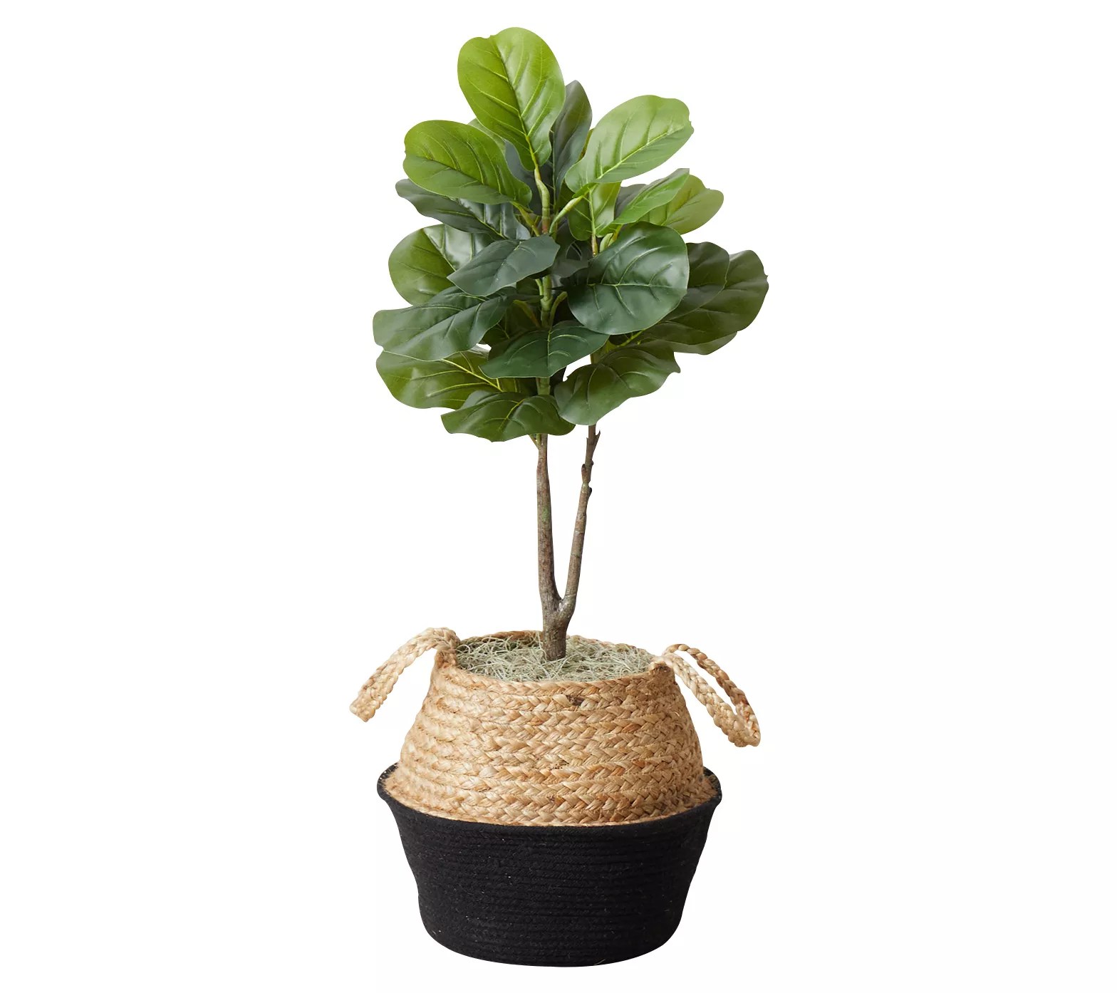 Nearly Natural 3' Artificial Fiddle Leaf Fig Tree DIY Kit