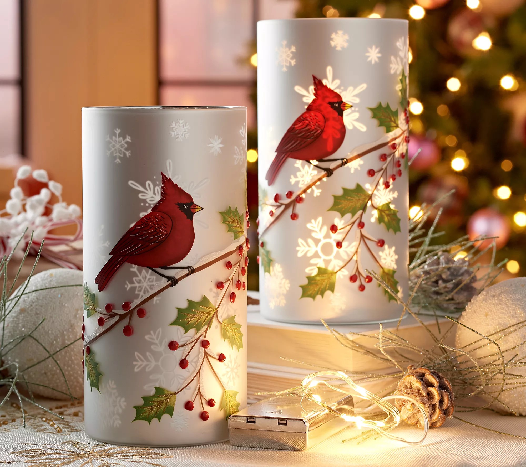 "As Is" Set of 2 8" Illuminated Bird Hurricanes by Valerie