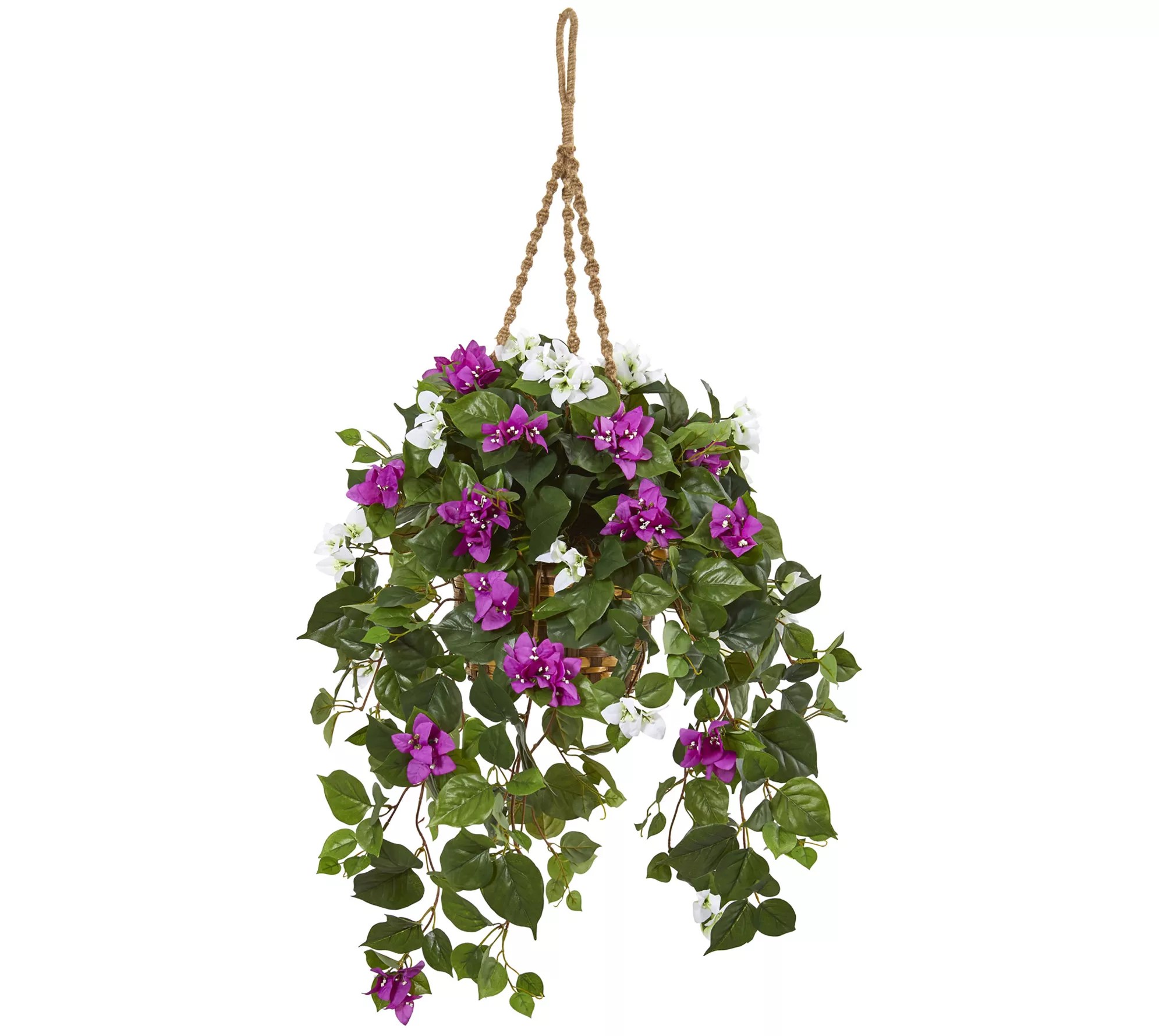 Mixed Bougainvillea Plant Hanging Basket by Nearly Natural