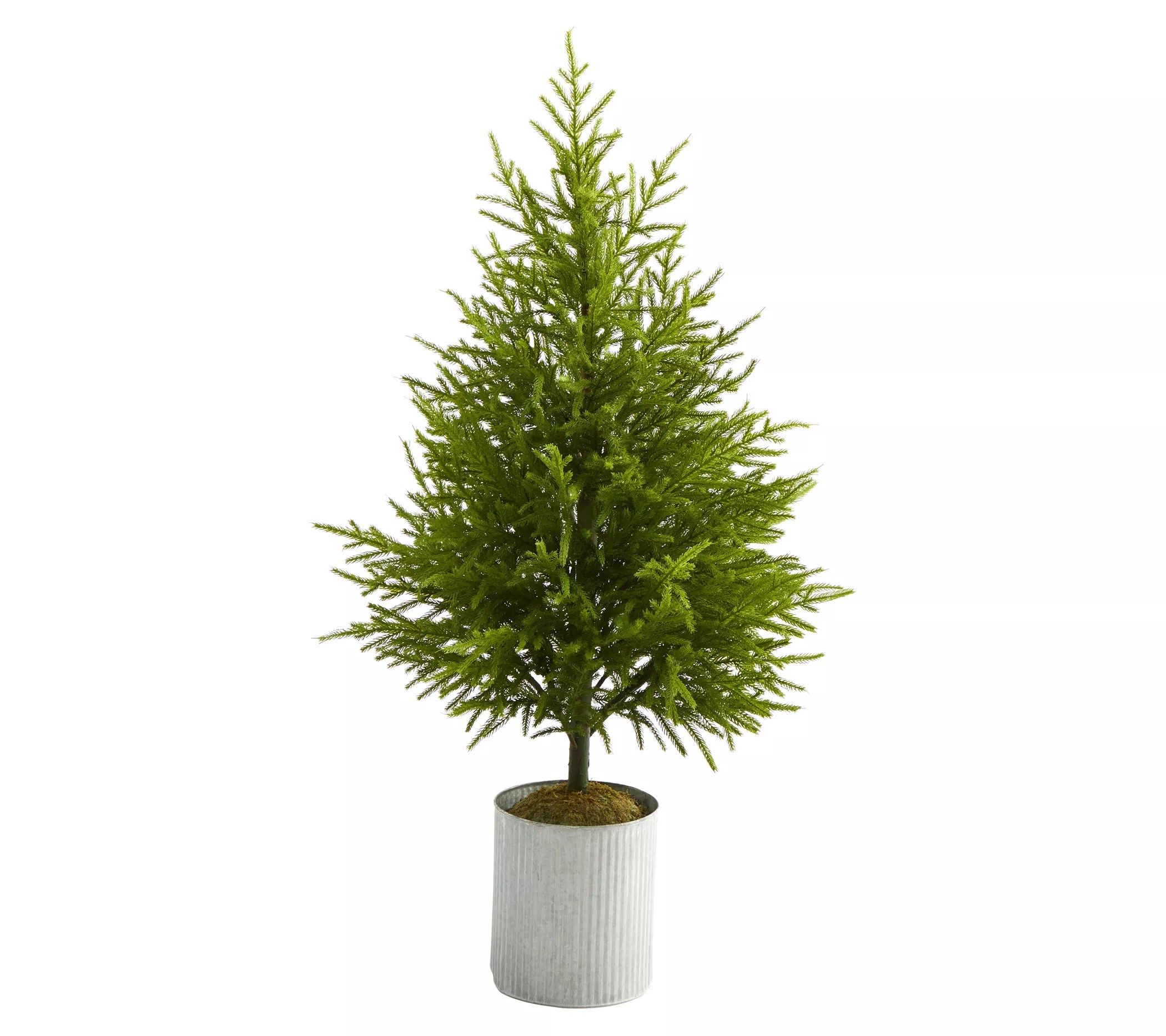 Nearly Natural 49" Norfolk Island Pine NaturalLook Tree