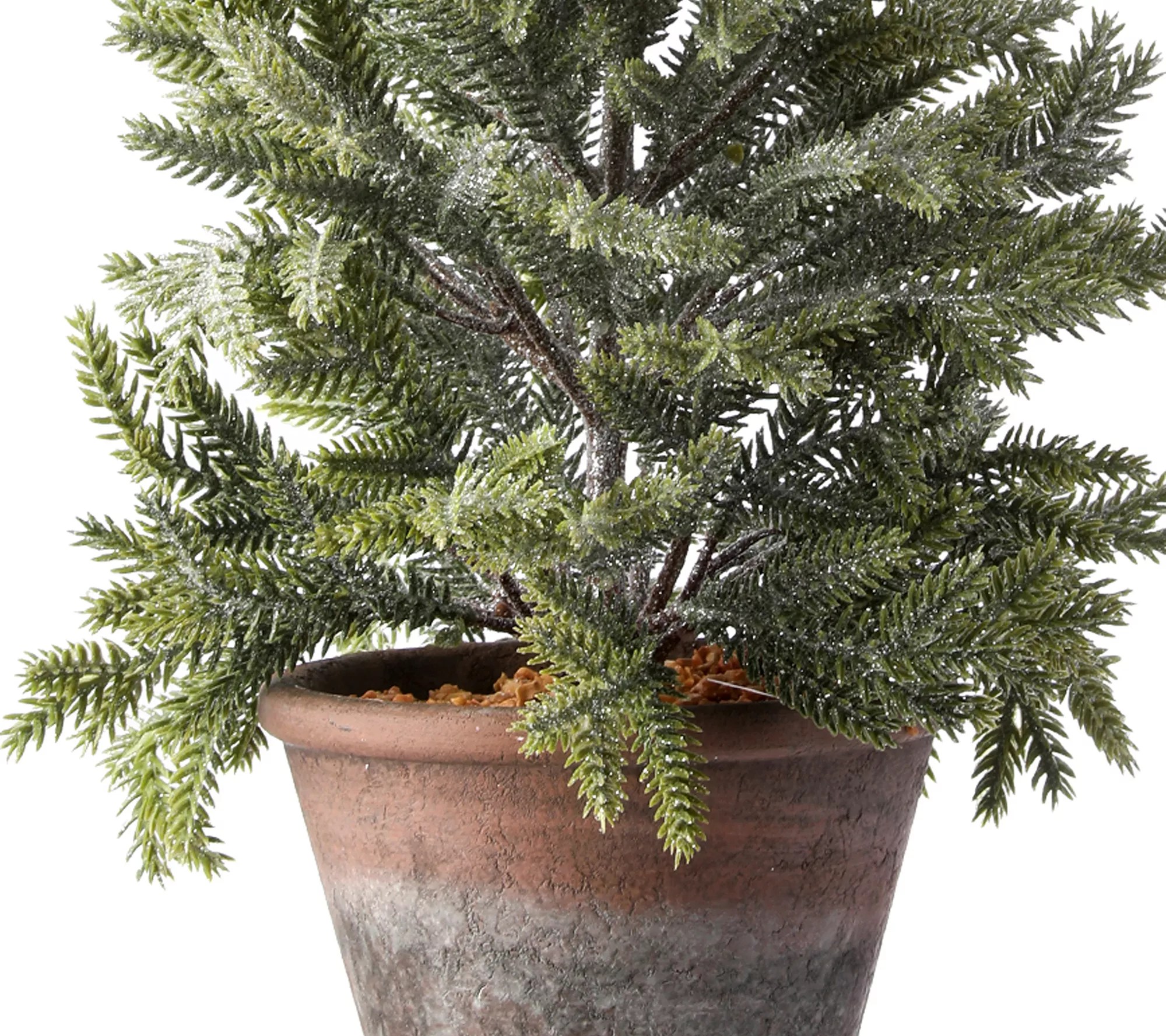 24" Potted Frosted Mini Spruce Tree by Valerie Set of 2