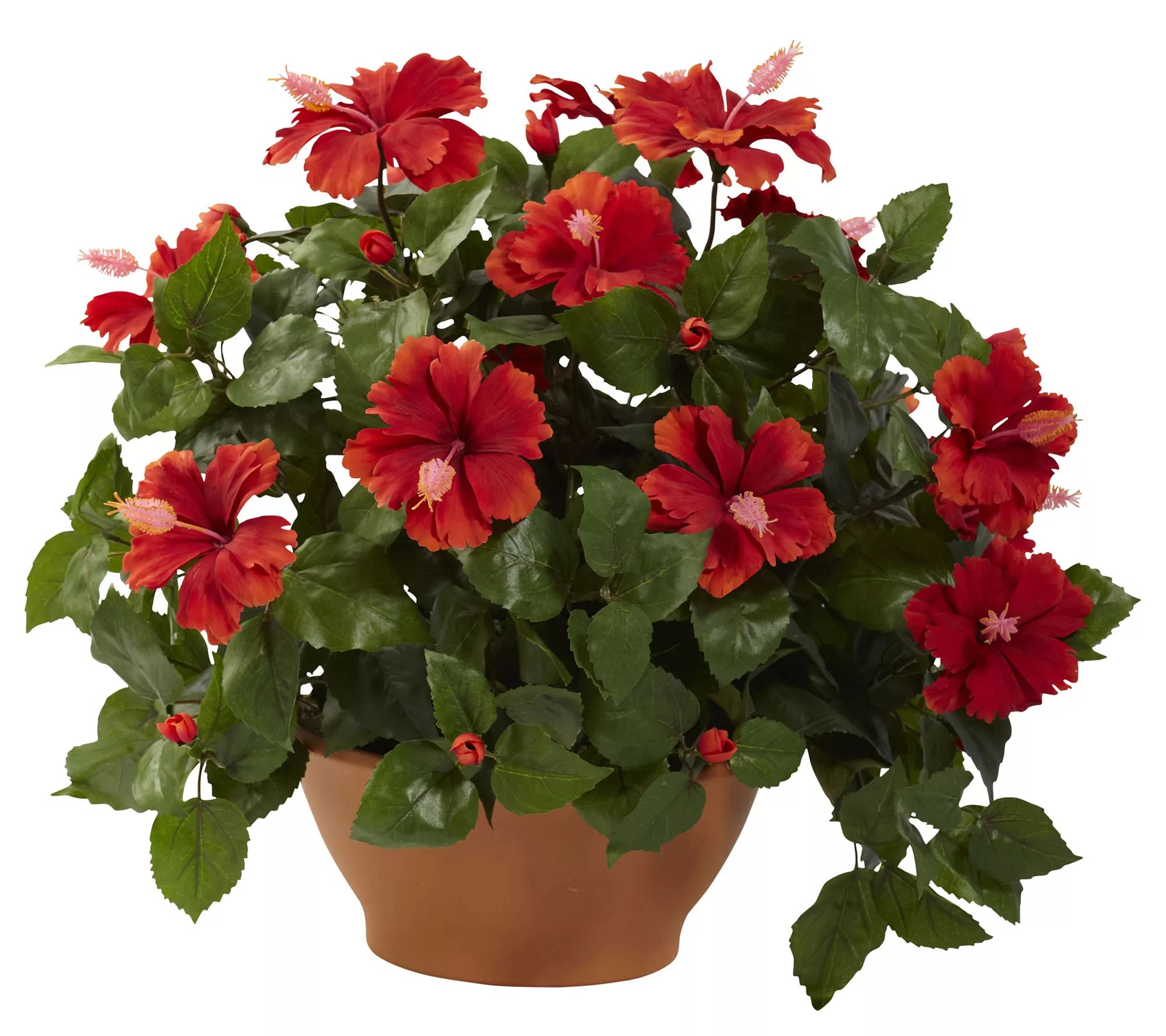 Hibiscus with Clay Planter by Nearly Natural