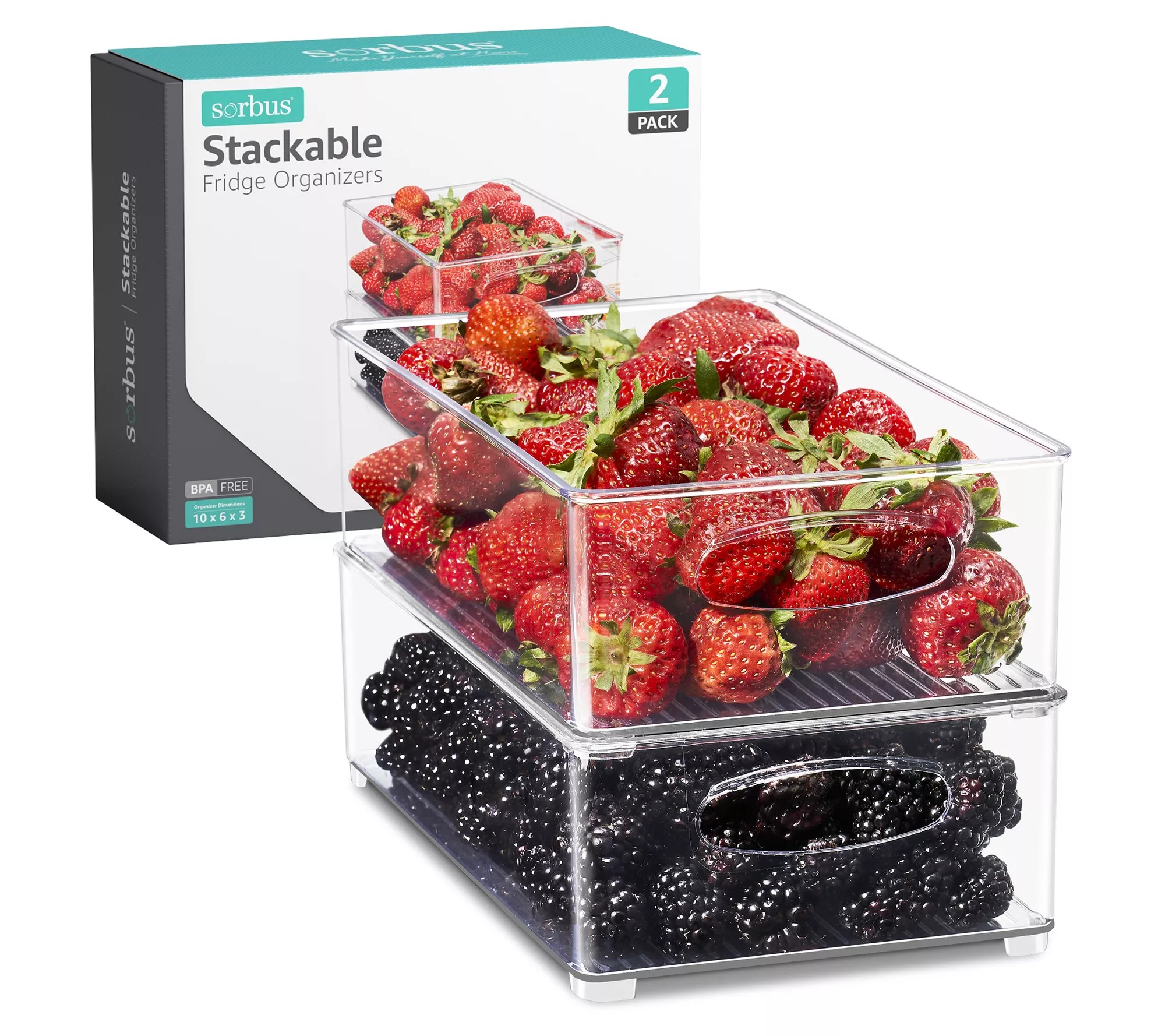 Sorbus 2 Pack Medium Plastic Storage Bins