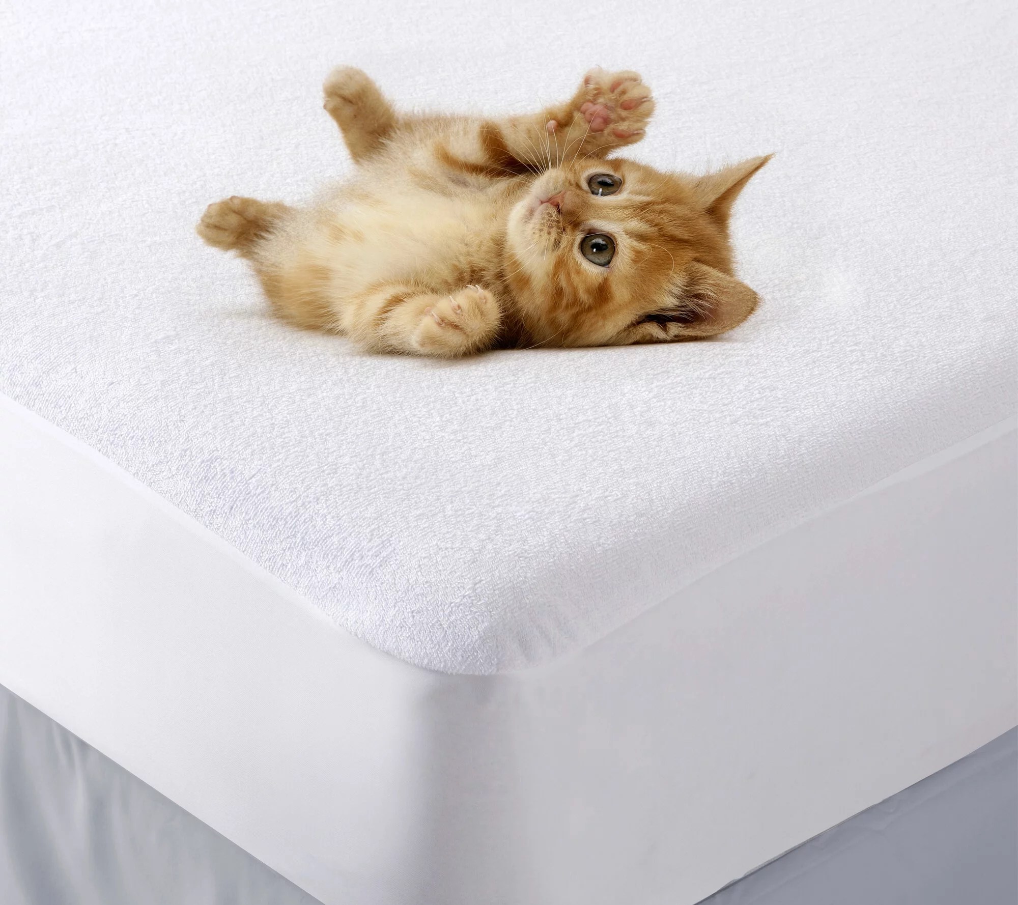 Superior Waterproof Cotton Mattress Protector, California King