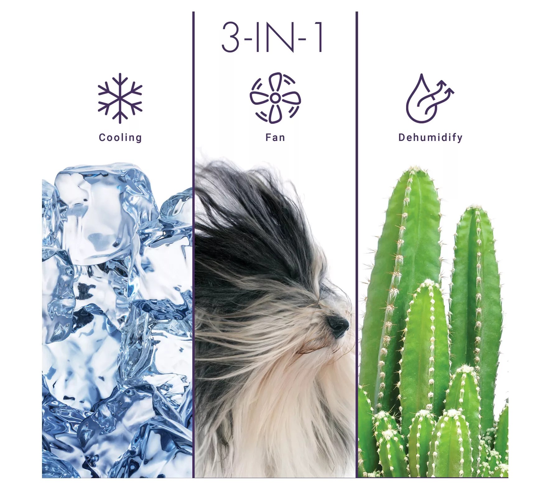 Freonic 8,000 BTU Sleek Design Window Air Conditioner - QVC.com