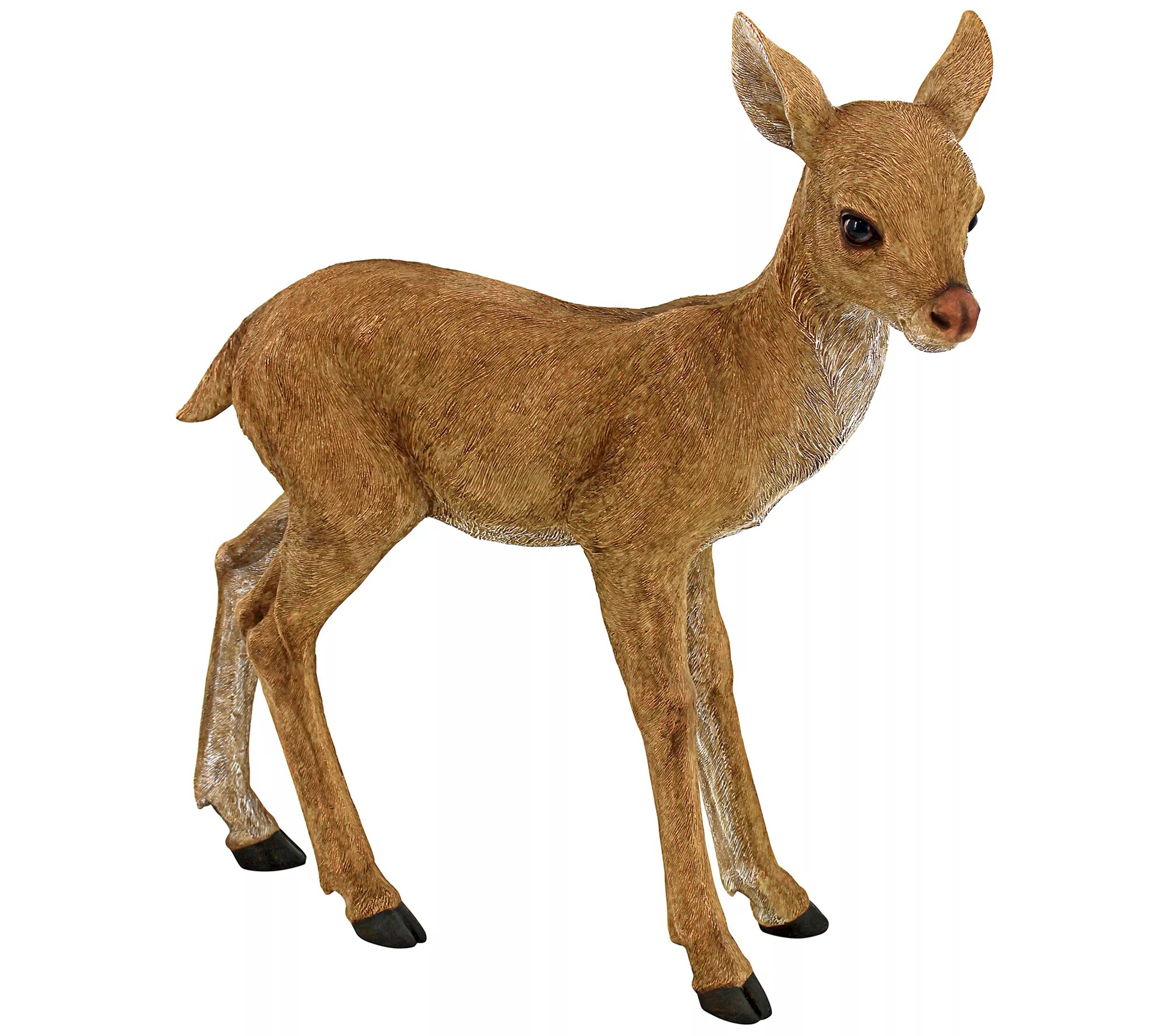 Design Toscano Foraging Fawn Baby Deer Garden S tatue