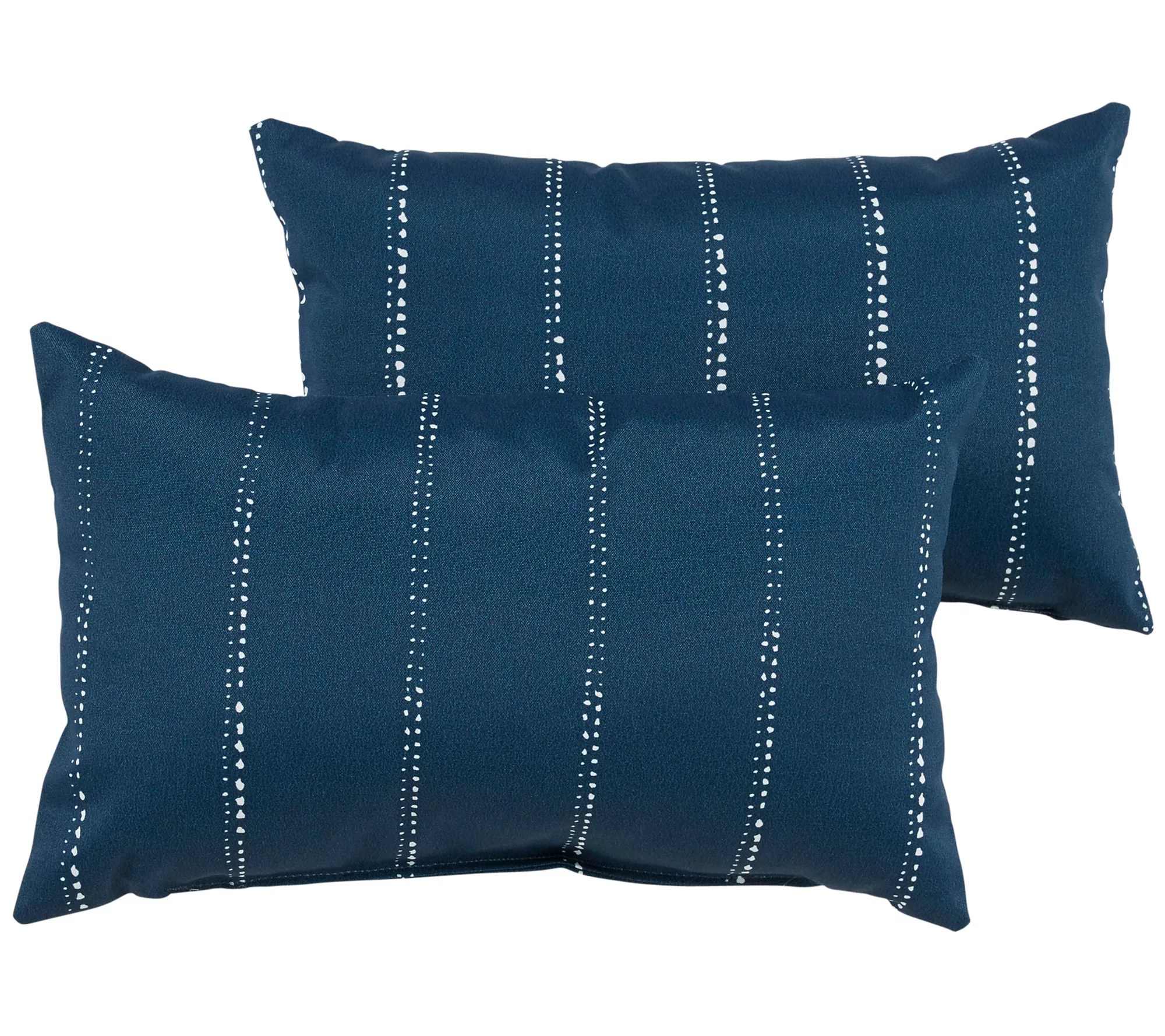 Set of 2 Indoor/Outdoor Lumbar Pillows