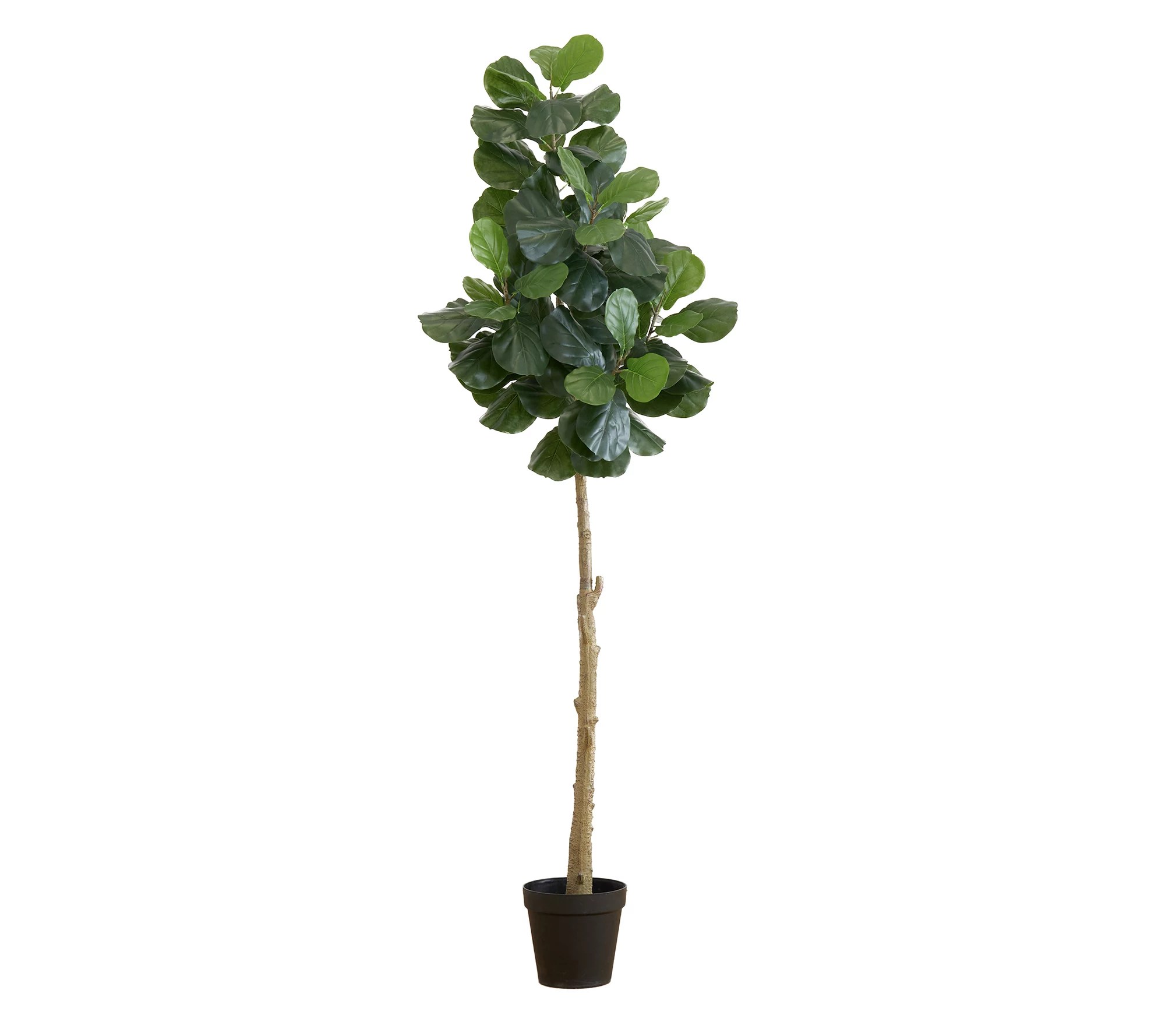 Nearly Natural 8ft Artificial Fiddle Leaf FigTree