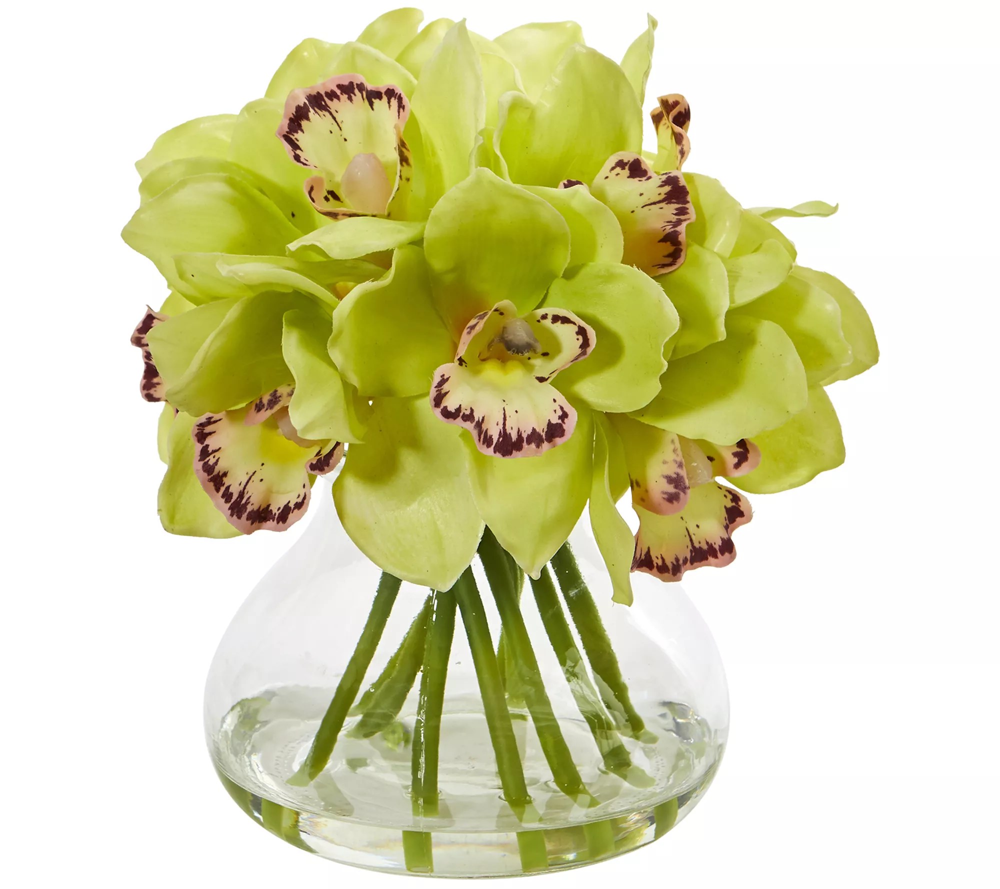 8" Cymbidium Orchid in Glass Vase by Nearly Natural