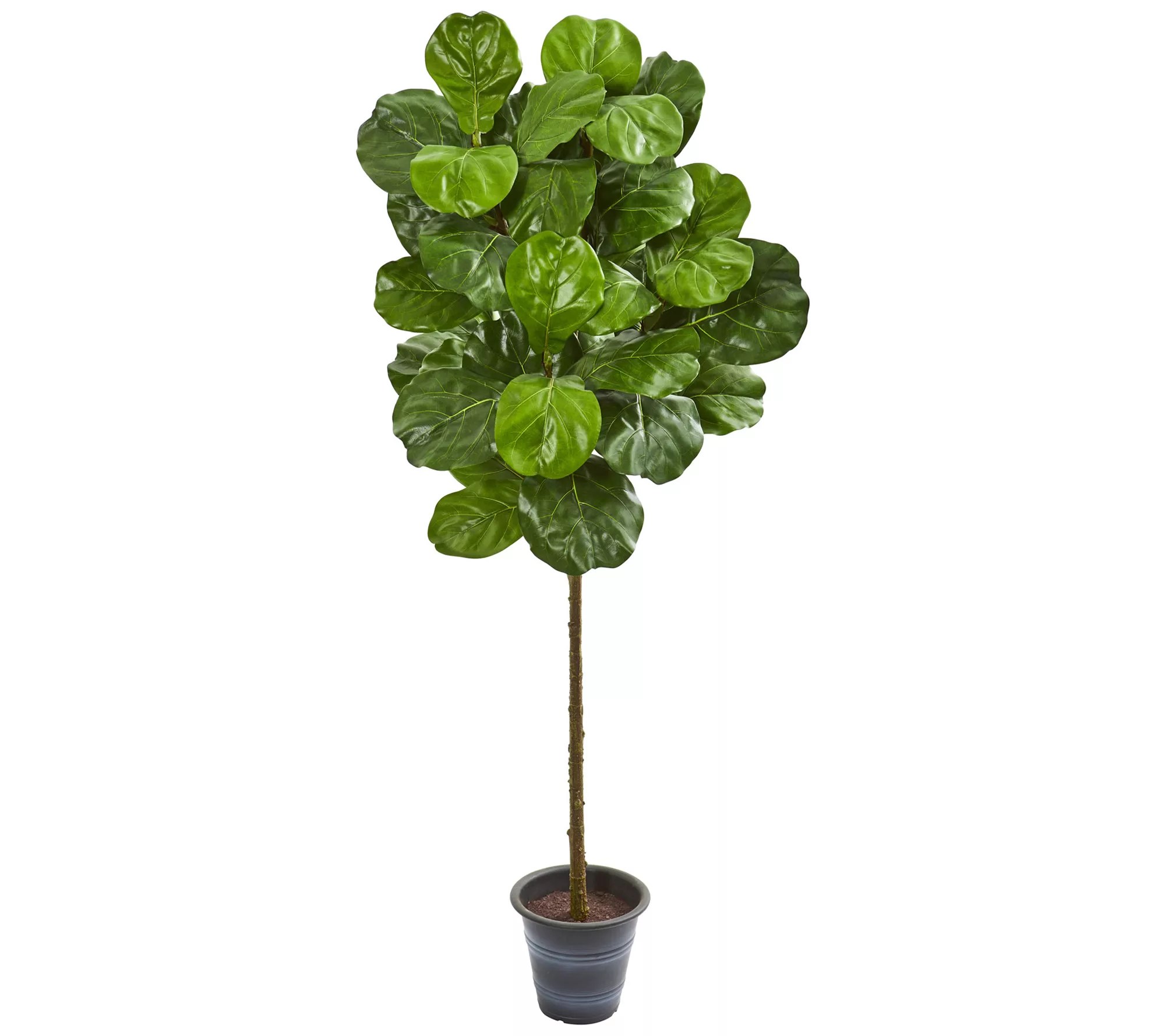 5' Fiddle Leaf Tree With Planter by Nearly Natural